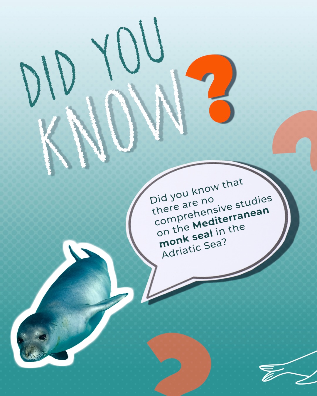 Ancora oggi non esistono studi completi sulla foca monaca del Mediterraneo nell’Adriatico… fino al 2023, quando l’eDNA ha rivelato tracce della sua presenza! 🦭✨
Insieme a Spot the Monk stiamo mappandone la distribuzione per proteggerla!🫶🏻
~
There are still no comprehensive studies on the Mediterranean monk seal in the Adriatic Sea… until 2023, when eDNA revealed traces of its presence! 🦭✨
Together with the Spot the Monk project, we’re mapping its distribution to protect it! 🫶🏻
#progettoMARE #CentroVelicoCaprera
#MarineResearch #RespectTheOcean
#OneOceanFoundation
A project by @cvcaprera
Scientific Partner @oneoceanfound