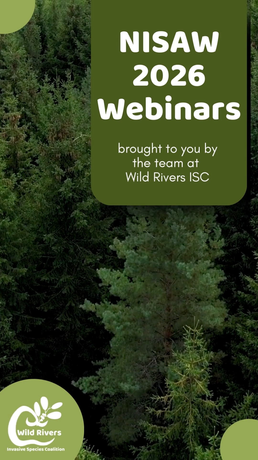 To celebrate #NISAW2026, our team has created three short webinars on topics of interest including:
🟢 Native lampreys
🟢 Oak Wilt
🟢 Prescribed fire
▶️ All webinars are pre-recorded and available on our website, along with previous years’ videos.
Check it out!
www.wrisc.org/webinar-series-nisaw-2026