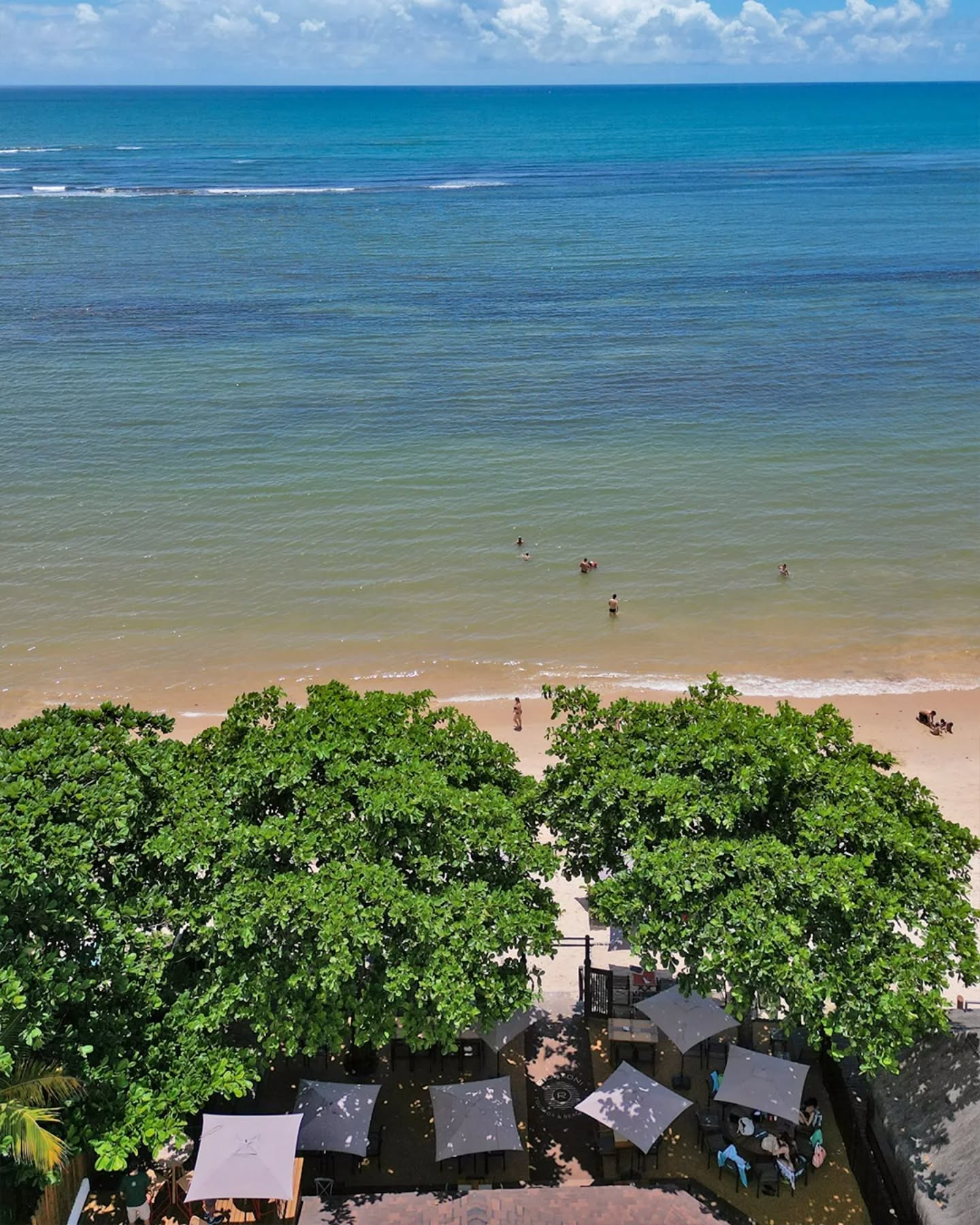 Somos hóspedes da natureza. Uma arquitetura que respeita e se integra à paisagem natural.
Reserva: (73) 9 9800-1818
www.rigatonibrasil.com.br
.
.
#clubdepraia #rigatoni #beachclub #destinosbrasileiros #carnaval2026