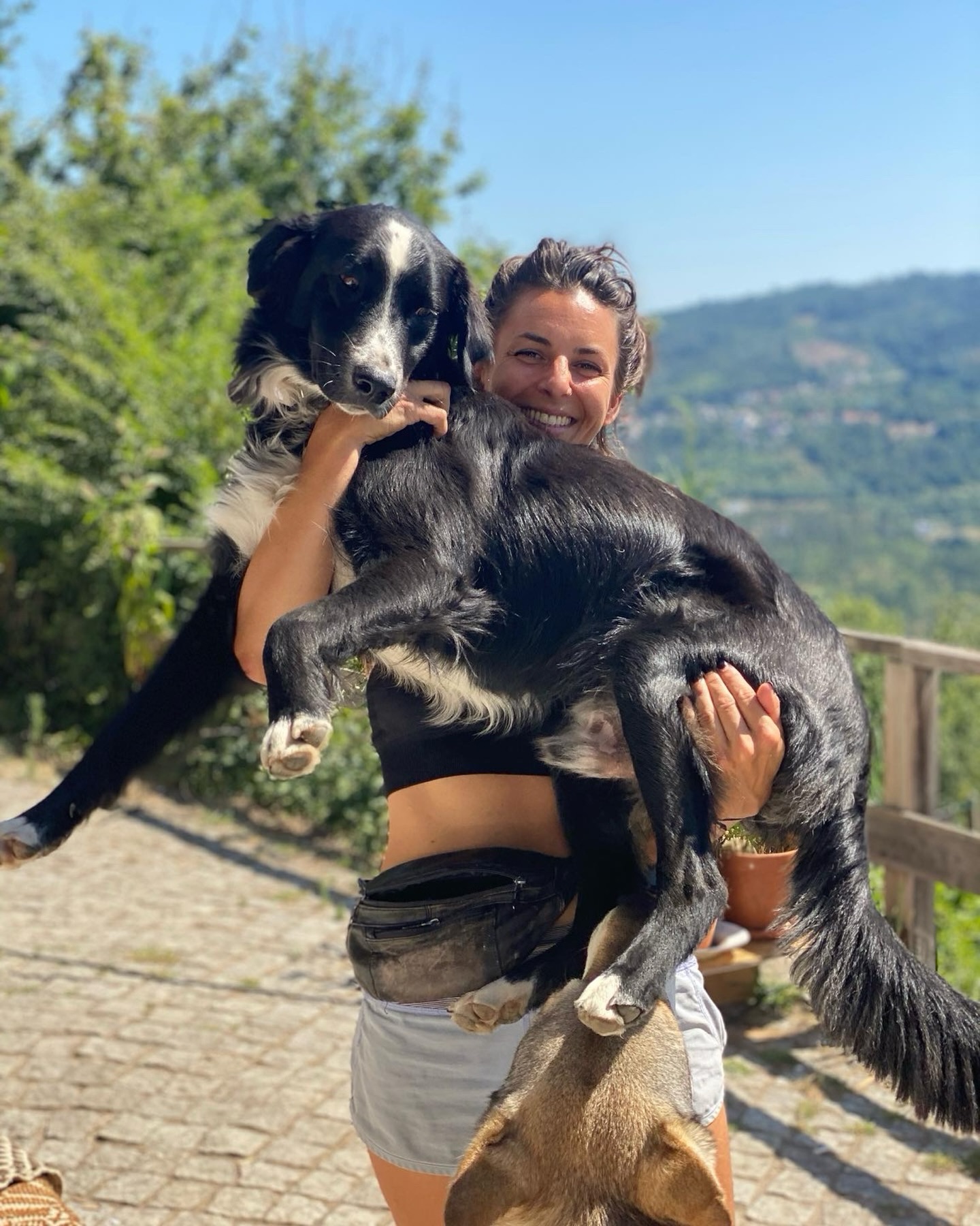 Sjakie. Sjaak. Sjak. Sharkie. Dude.
He has many names.
Found on the street around the corner of Deveza as a puppy, and still has the street dog in him. Meaning: don’t leave your food unattended when he is around 😅
You can take the dog off the street but..
Besides his food obsession he is also a big fan of long walks and even 10 km runs are easy for him.
He likes to boss over Máka and is our alarm bell for when there are delivery guys at the gate.
Karin is his favorite human, he also has her last name: Sjakie Seelen. Máka has Giel’s and is called Máka Jansen 😆
Just a bit of inside information 😉
Enjoy your weekend!
•
#devezadog #dogsofdeveza #glampingportugal #smallscaleglamping #retreatcenter