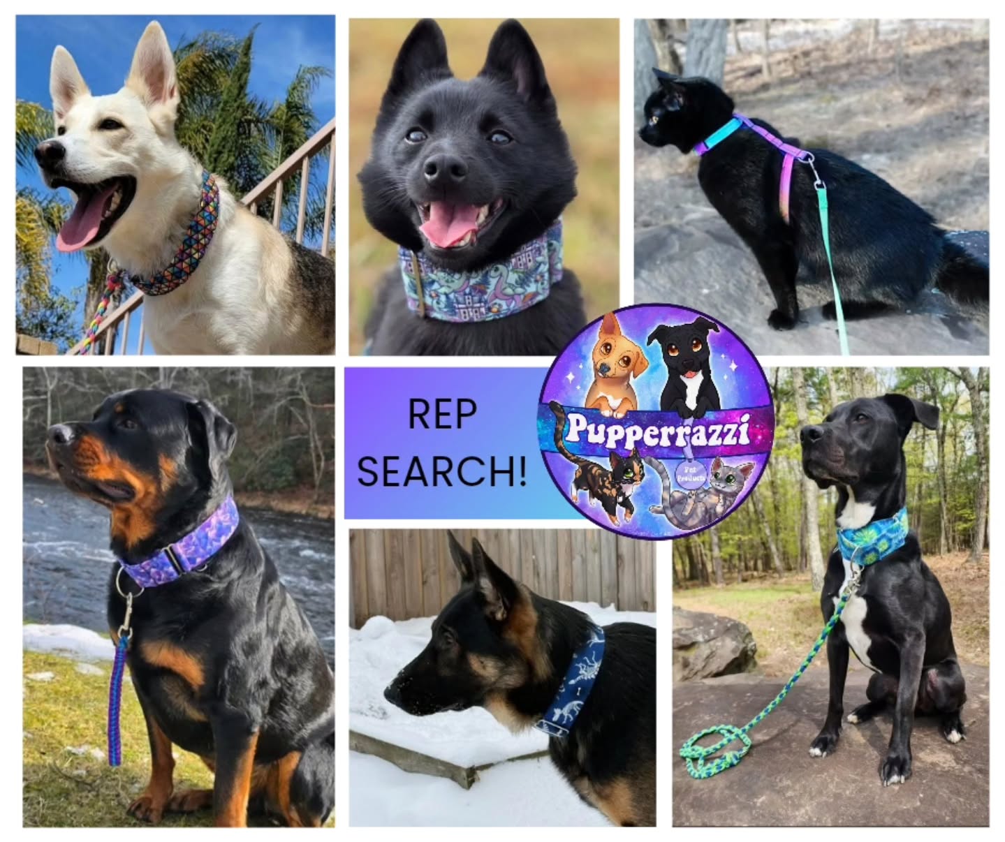 It's that time!
Looking for April-August (spring/summer term)!
It's simple: help with engaging on posts/sharing and you get discounts!
I do a FB group chat with all the reps and sometimes bounce ideas off of you guys! I like input from customers!
Comment with a pic of your pet if you're interested!