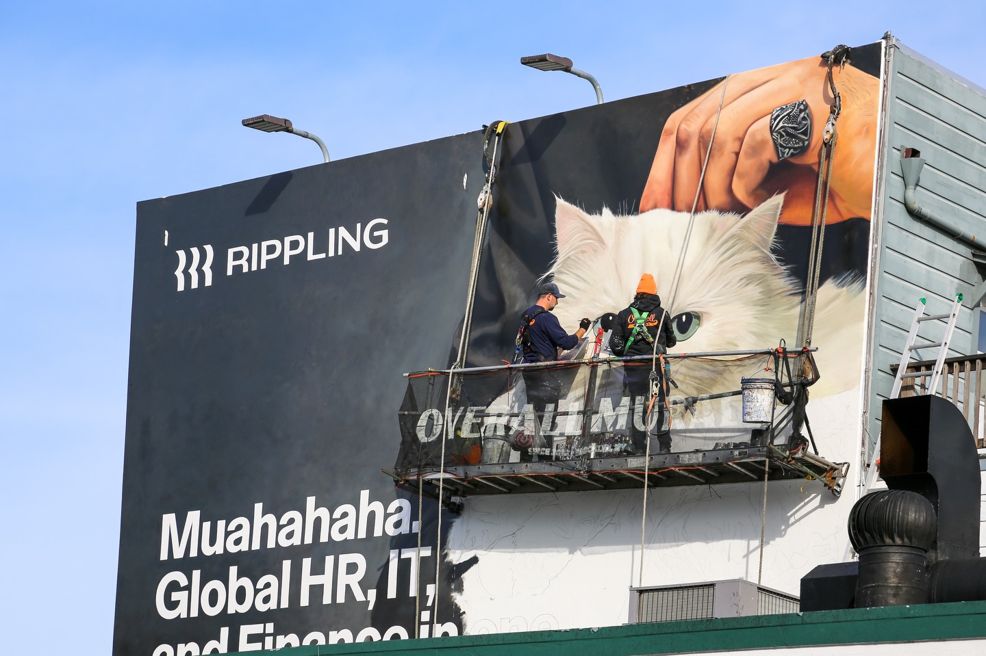 Muahahahah….🐱
🏷️
.
.
.
.
#overallmurals #killthepixel #trusttheprocess #handpaint #coasttocoast