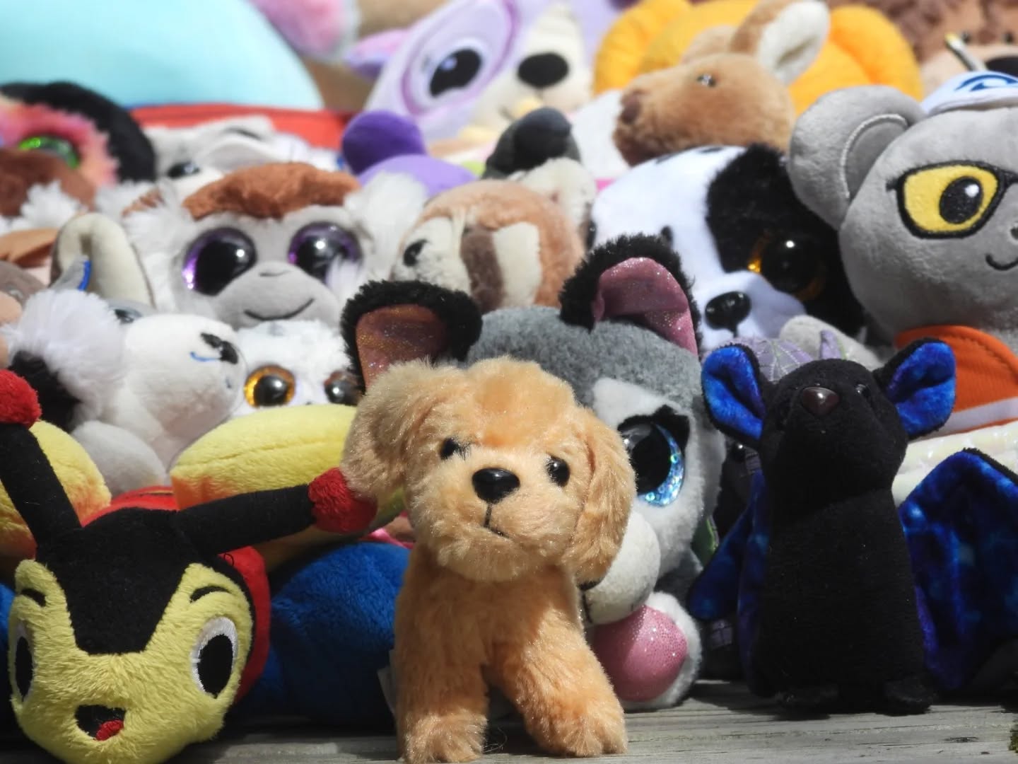 This Children's Day we welcomed over 300 well loved toys generously donated by children all around te Whanganui a Tara / the Wellington region. These precious toys represent the 1.2 million tamariki and rangatahi in Aotearoa New Zealand who want us to transition from dirty fossil fuels into cleaner renewable energy now.
These toys will be attending the Climate School for Ministers Welcome Assembly where the Term One Energy Curriculum will be handed over to 'Minister Watts' by our Head Teacher, Ms Tara.
All are welcome to attend between 11am - 2pm Wednesday 4th March. You may even be lucky enough to be interviewed by John Campbear!
If a child or young person in your life has a message you would like us to add to a toy sign, leave a comment below or send a dm. If you have a donation we can collect before Wednesday, let us know too.
#ForTheirFuture #CleanAir #ClimateAction #ChildrensRights #RenewableEnergy