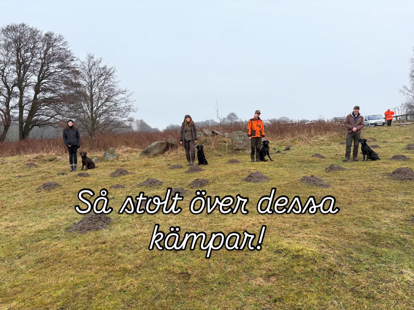 Idag hade vi kursavslutning på grundlydnad. Blentarp visade sig från sin bästa sida med typiskt Skånsk vinter, alltså regn… Detta gänget har kämpat 4 lördagar i snö och kyla medan de tränat på följsamhet, inkall, passivitet, passera annan hund, över och under olika hinder. De har även dribblat med tennisboll så det kan de nu. Så stolt över deras engagemang och framsteg! #teamolsen #teamolsenforthewin #hundträning #kursavslutning #såstoltöverminakursare