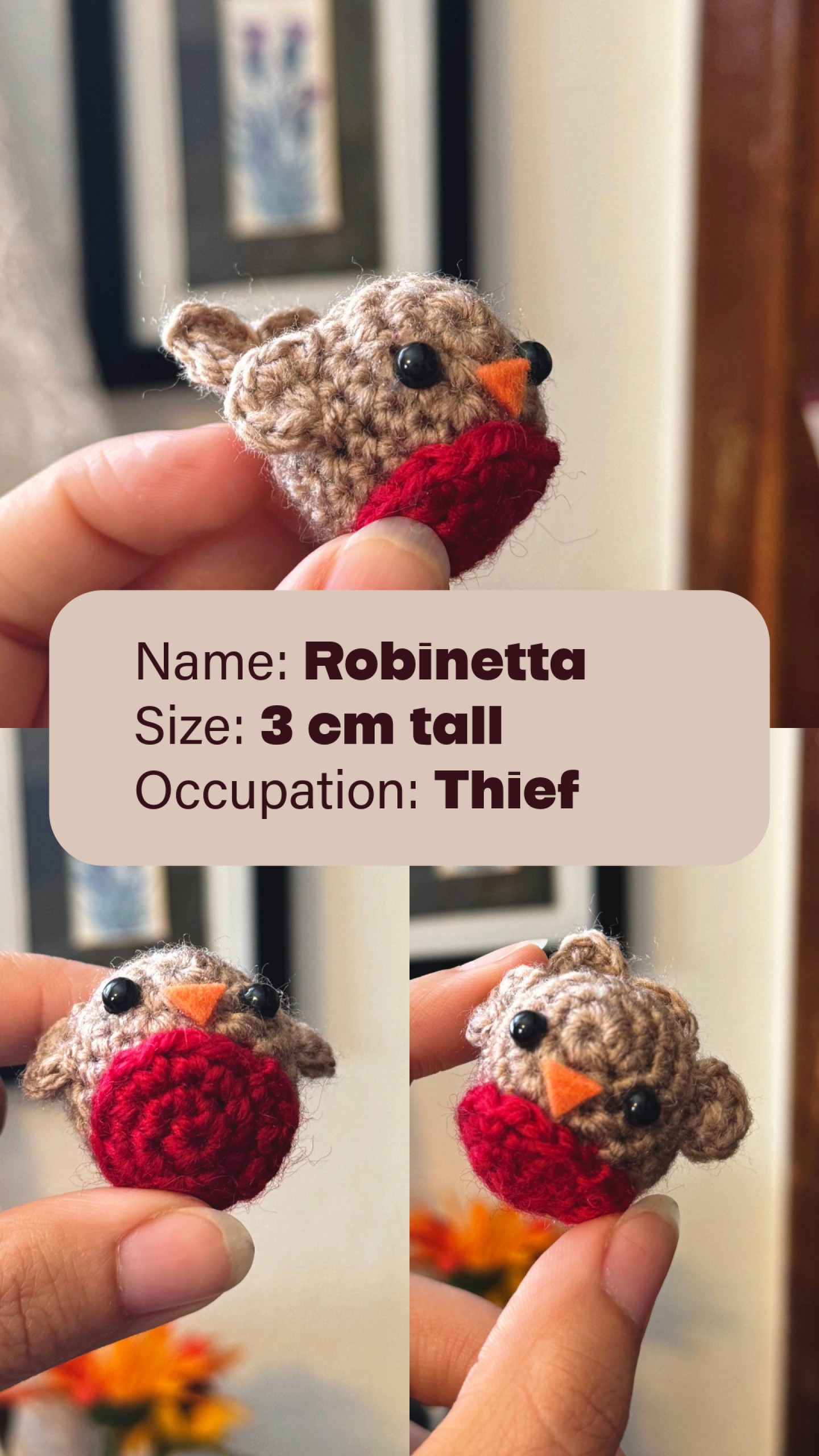 She can't be your Batman cause she be Robin.
Book Update: I finished the audio book for A Wrinkle in Time by Madeleine L'Engle and it was a pretty wild ride! The book is categorized as YA but is truly for all ages.
#crochetbird #awrinkleintime #robin