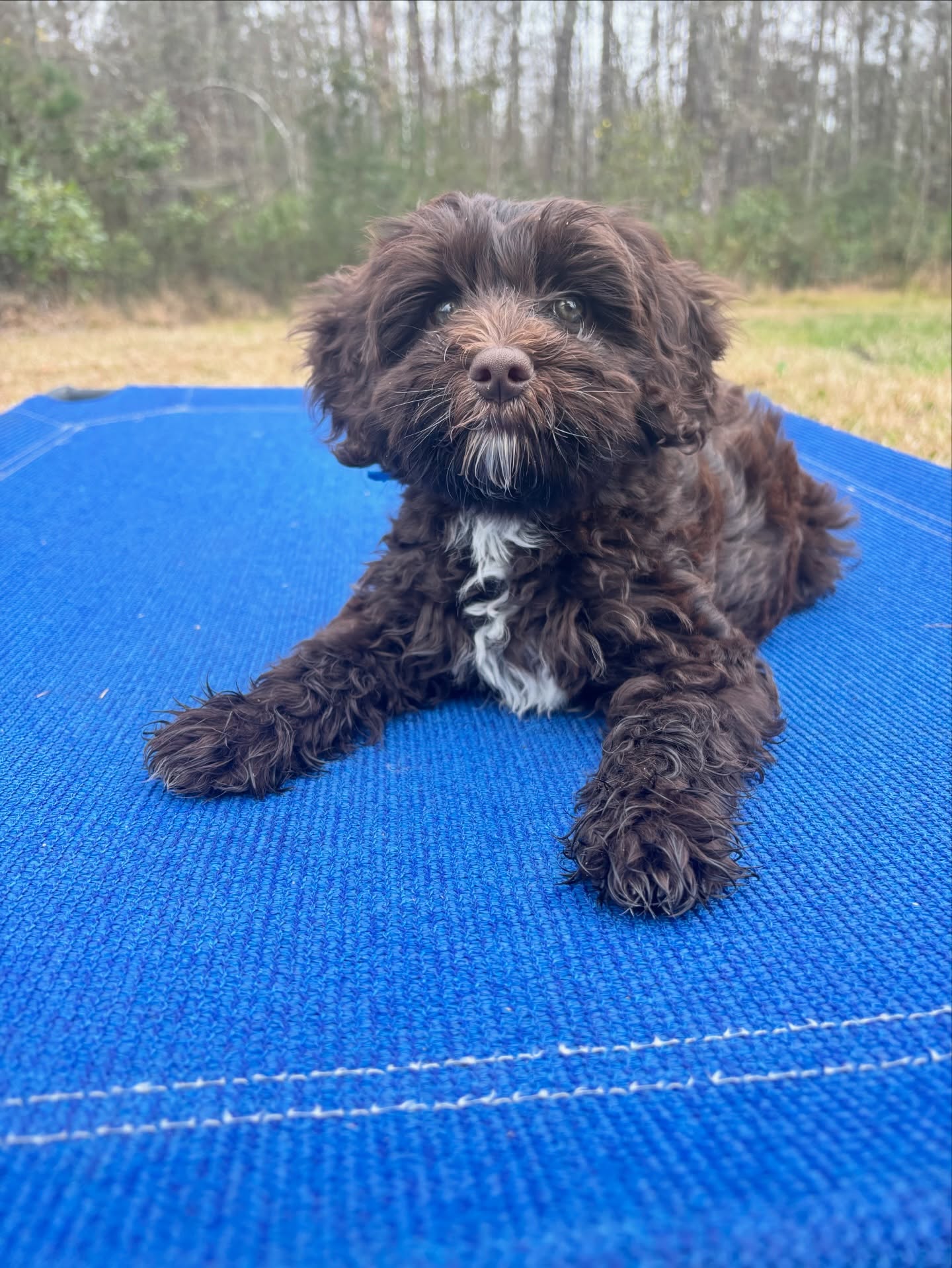 Cute as a button….Miss Violet