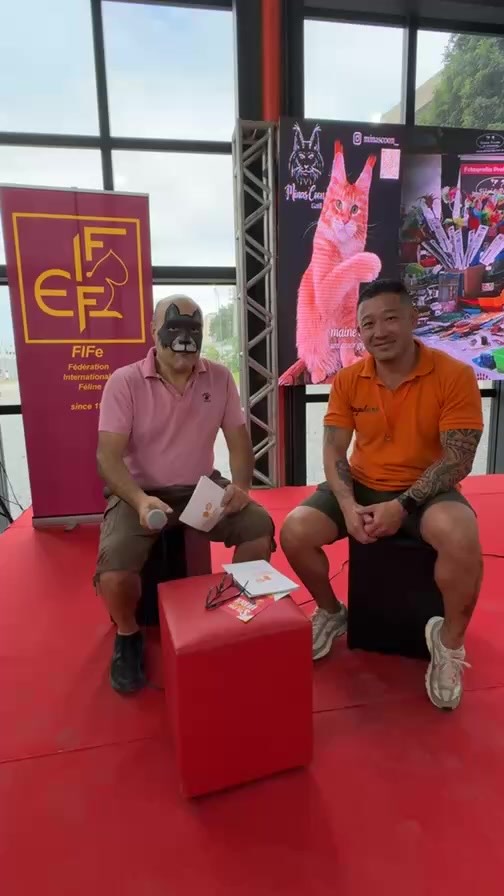 🔴📹 Bastidores de um gatil e descobrir como é conciliar a medicina veterinária com a criação responsável.
Entre cuidados sanitários, genética, bem-estar e orientação aos futuros tutores, a conversa mostrou que criar vai muito além da estética — é compromisso diário com a saúde e a qualidade de vida dos gatos.
Um encontro cheio de aprendizados, troca real e muita paixão felina 🐾💙 Pra quem ama gatos (ou sonha em ter um), ficou claro: informação e responsabilidade fazem toda a diferença desde o primeiro dia de vida até a ida para um novo lar.
@magahara_mainecoon