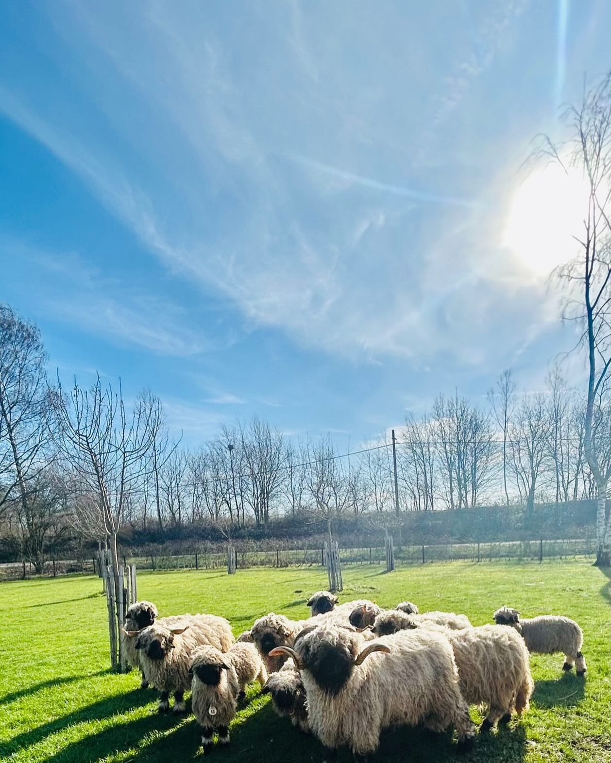 Spring is comming…