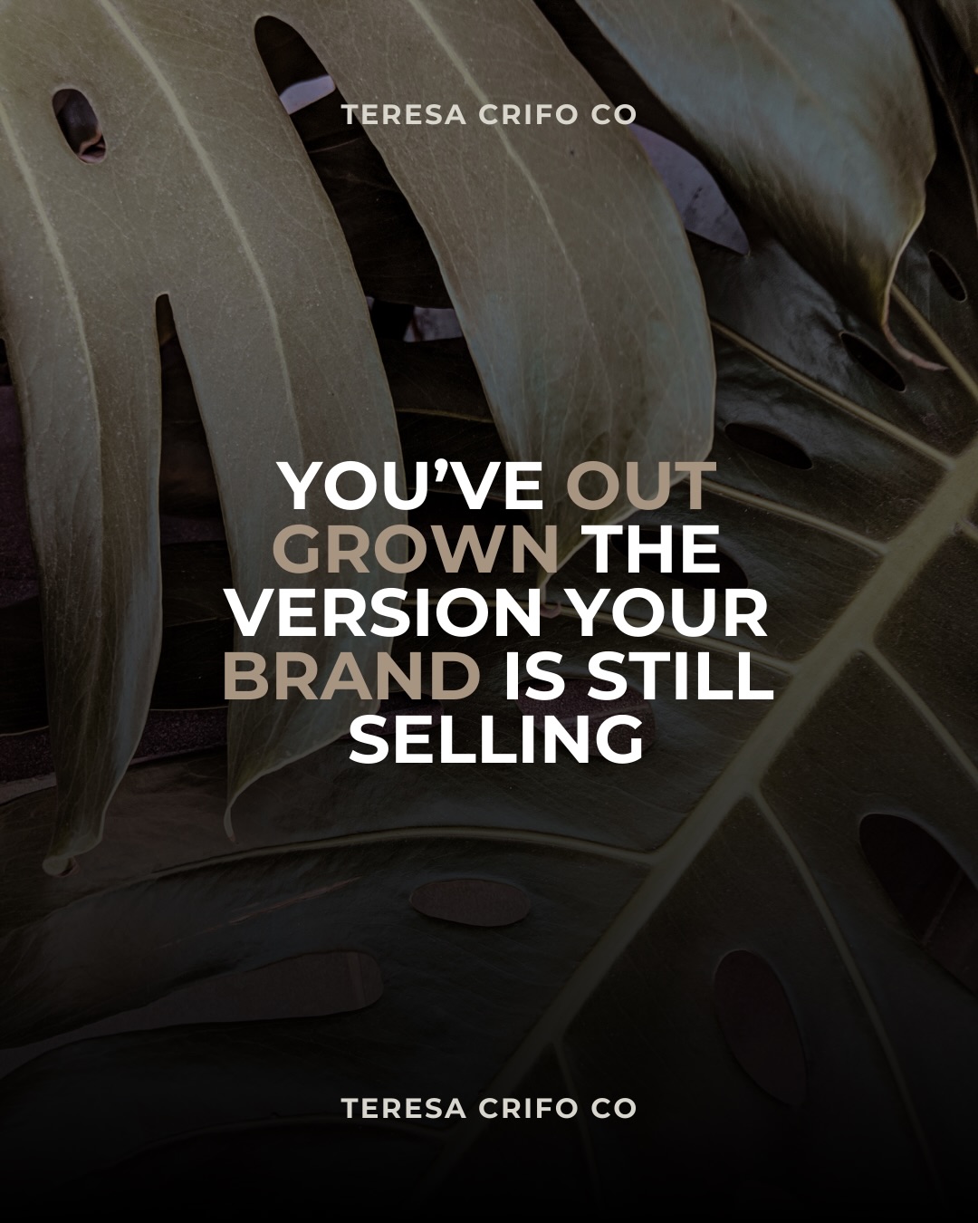 At some point, you outgrow the version of yourself your brand was built around.
The women who lead don’t ignore that. They refine 💫
www.teresacrifoco.substack.com
#BrandEvolution #PremiumPositioning #IdentityShift #ServiceBasedBusiness #WomenWhoLead ElevatedBrand NextLevelBusiness MagneticBrand CEOEnergy