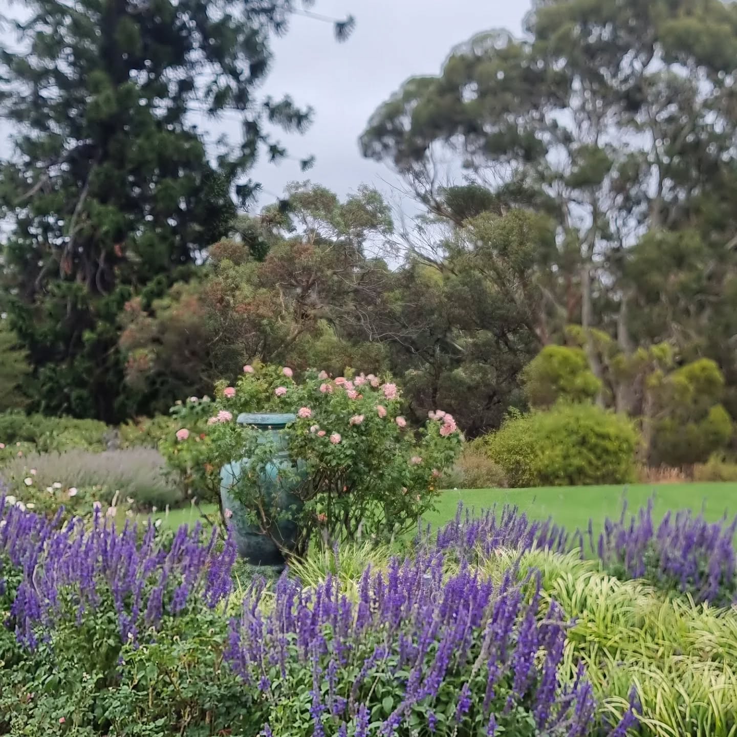 Back at Urrbrae House today to check up on the Conservation treatment of the refrigeration unit. Gardens are looking glorious.
@urrbraehouse
#historichouseandgarden
#textileconservation
#adelaideuniversity