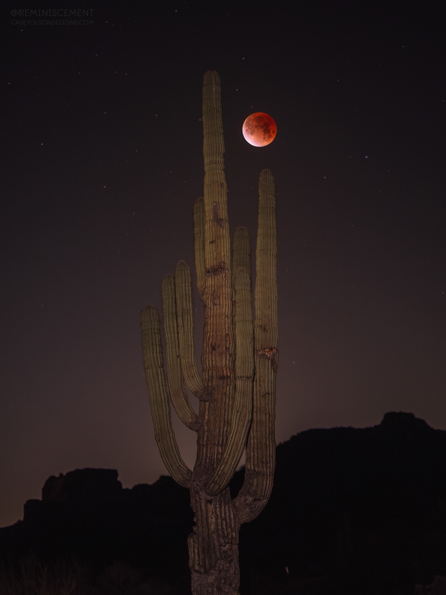 Proof that even in shadow, we glow. โค๏ธโ๐ฅ
Bloodmoon Eclipse from this morning! This became a total eclipse at 4:33 am on 3/3 and 33 is my fave number. I also set my alarm for 3:33 am to wake up for it. Lolll. ๐ค
Fun fact: A blood moon turns red for the same reason sunsets do. When the Earth moves between the sun and the moon, sunlight has to pass through Earthโs atmosphere before reaching the moon. That atmosphere filters out the shorter blue wavelengths and lets the longer red tones through, creating a beautiful sunset glowโฆ projected onto the moon.โค๏ธโ๐ฅ
I was so excited to plan this out when I found out it would be low enough in the sky to get a foreground.
Share if you love it. ๐ฅน๐ซถ๐ป