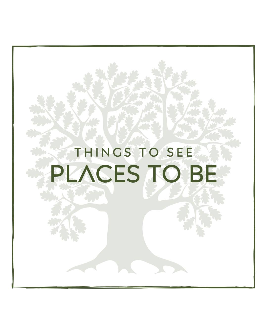 🏃♀️🌲 March mornings at Clumber Park parkrun 🌲🏃♂️
If you’re staying with us in March and fancy starting the weekend on a high, Clumber Park parkrun is a brilliant way to do it. This free, weekly 5k takes you through beautiful parkland on a mix of paths and forest trails, all at your own pace.
Whether you’re running, jogging, walking, or cheering from the sidelines, it’s welcoming, relaxed, and suitable for all abilities. Follow it up with a coffee and a wander around the park, and you’ve got the perfect Saturday morning. ☕🌿
📍 Clumber Park
🗓️ Saturdays throughout March
⏰ From 9am
🎟️ Free to take part (registration required)
A lovely way to enjoy fresh air, movement, and the countryside during your stay.
#VillageHolidays #ClumberPark #Parkrun #MarchMornings #ActiveGetaway #ExploreNottinghamshire #FreshAirFun