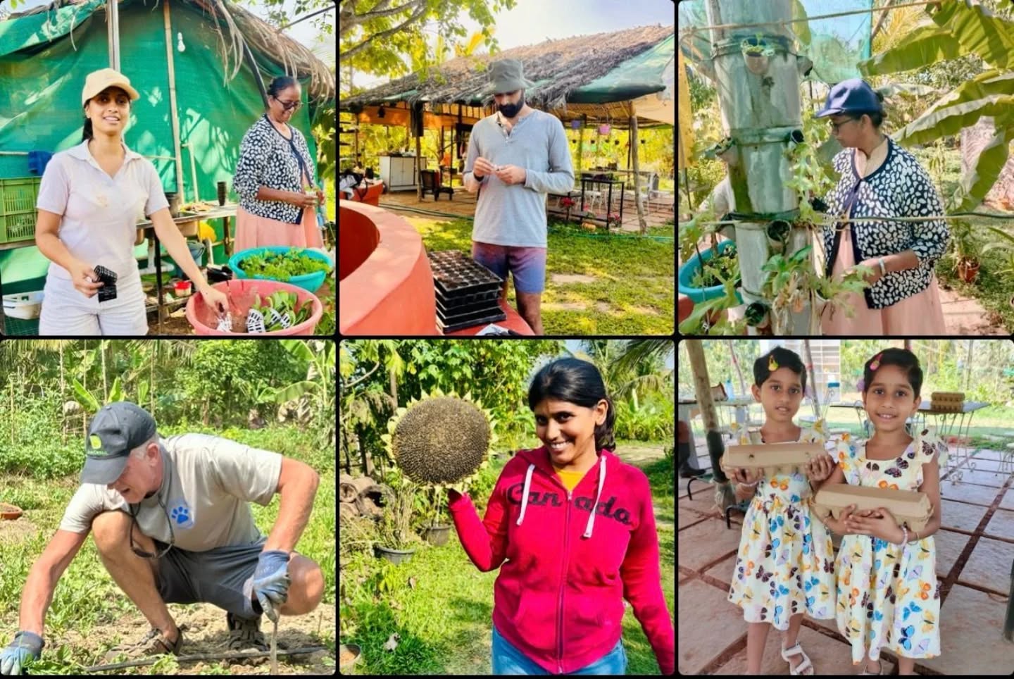 Saturday Volunteer Program: 28th Feb 26 🪴🍃
Our Volunteer Programme revives an old Goan tradition.
In the days of our great grandparents, farmers helped each other plant and harvest. That spirit of neighbourly support is what built strong farming communities.
Today, many Goans dream of returning to farming — but labour and rising costs make it difficult. The solution may not be machinery alone… but community.
At FarmLife, neighbours and friends step in to support farming — and in doing so, they reconnect with soil, food, and nature.
Since starting this programme, we have welcomed CEOs, entrepreneurs, professors, engineers, architects, foreign visitors and residents — leaders in their fields, but humble enough to work the soil.
They are not just volunteers.
They are community heroes.
Here are a few from today:👇
Samantha – Civil Engineer
Weeded vegetable beds and set up kale & pak choi in our aeroponic and hydroponic systems.
Marlon – Future Farmer
Recently returned to Goa to start his own farm. Planted trays of corn, tomatoes and vegetables — giving seeds a strong new beginning.
Sister Sienna – Community Builder
Sterilised hydroponic cups, prepared clay media and set saplings into the systems with great dedication.
Greg – Practical Expert
A regular volunteer with overseas farm experience. Helped weed, painted display shelves donated by a neighbour, and is now designing a goat-milking stand for visitors.
Cris – Digital Support
Handles websites and social media, and generously supports FarmLife while volunteering regularly on the farm.
If you believe farming matters…
If you want Goa to grow its own food again…
Join us next Saturday.
Let’s rebuild farming — together. 🌿