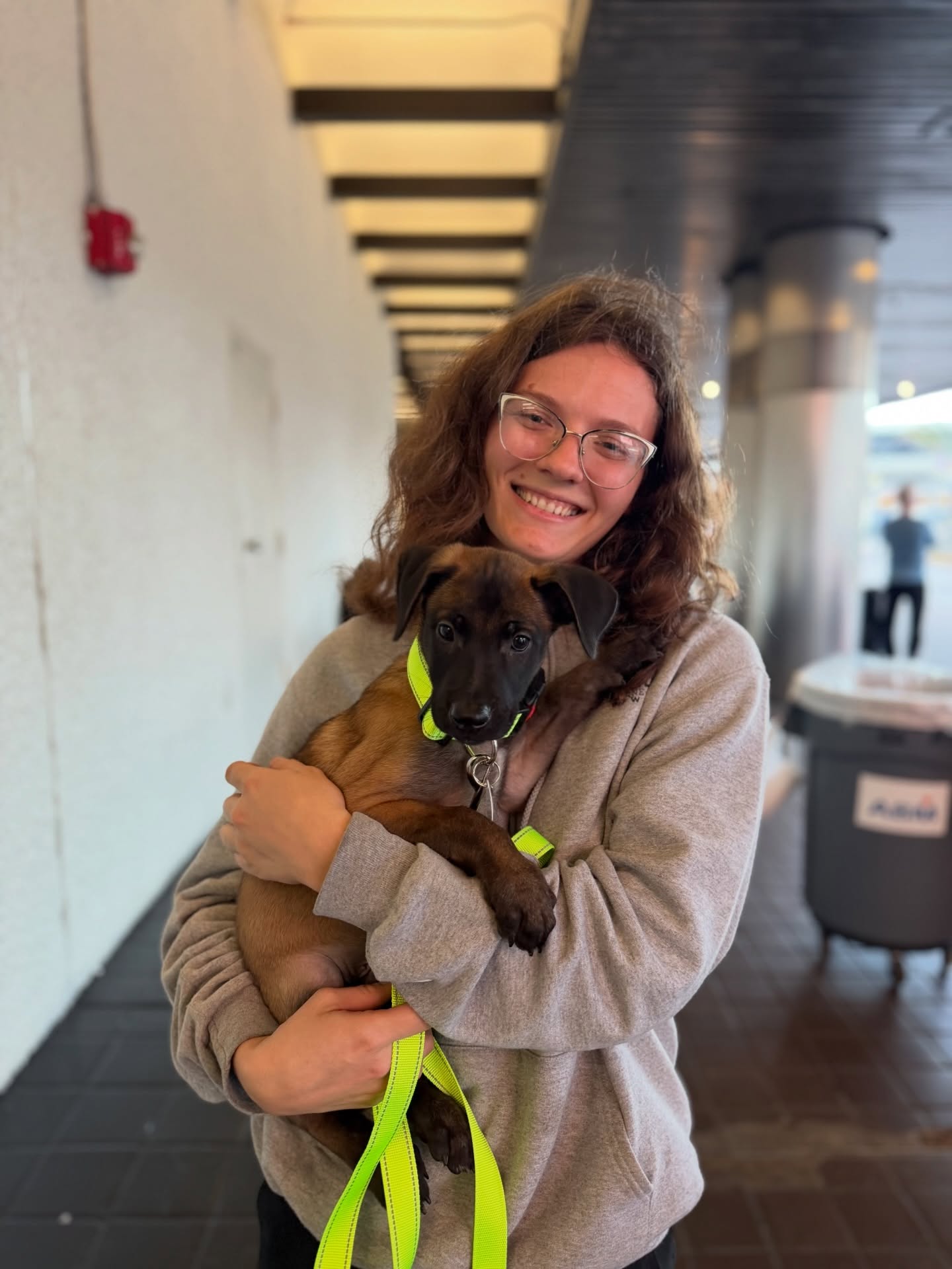 The 1st Katniss X Anvil baby has left!
Constant, now Forte is off to his new home in TX to be a Mondio Ring dog. I look forward to seeing you take after your sire 💚
Composer of Choas vd Hunde der neuen Äre “Forte”
•
•
#belgianmalinois #malinois #workingdog #sportdog