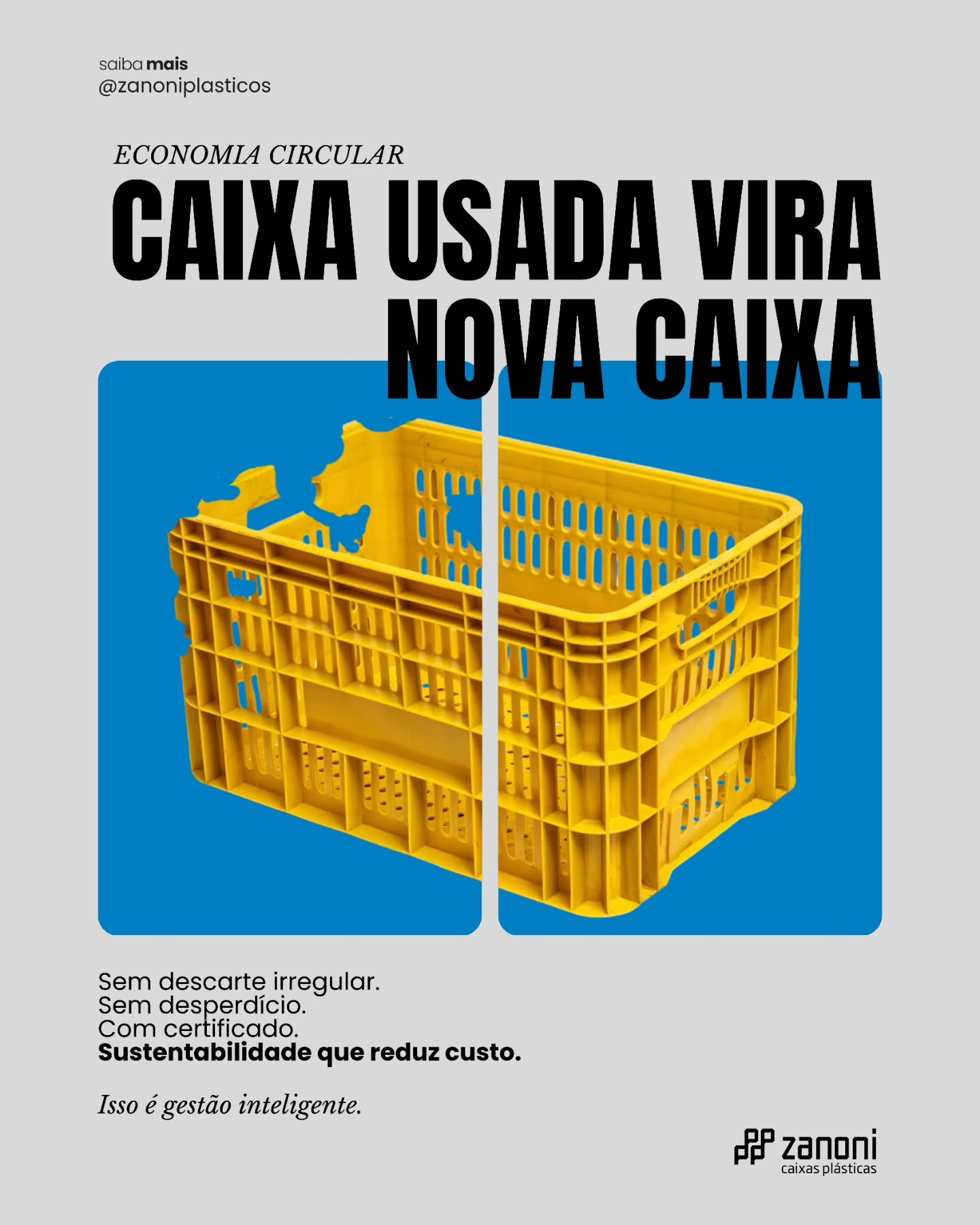 ♻️ Economia circular na prática.
Aqui, caixa usada vira nova caixa — sem descarte irregular, sem desperdício e com processo certificado.
Isso significa:
✔️ Menos impacto ambiental
✔️ Mais vida útil para o material
✔️ Redução real de custos
✔️ Gestão inteligente dos recursos
Sustentabilidade não é discurso.
É estratégia, é eficiência, é resultado.
📦 Na Zanoni Caixas Plásticas, o plástico não vira lixo.
Ele volta para a operação, do jeito certo.
#EconomiaCircular #SustentabilidadeNaPrática #GestãoInteligente #LogísticaSustentável #IndústriaResponsável