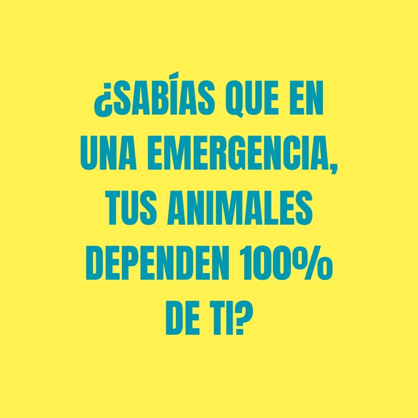 Comenta CHECKLIST para que pueda ayudarte a armar tu kit gratis!
Cuéntame: ¿Qué animal de tu familia necesitaría más ayuda en una evacuación? 🐶🐱🐷🐯🐮🐴🐹🐔🐦🐸
#inclusionanimalendesastres #emergencia #animal #perros #gatos