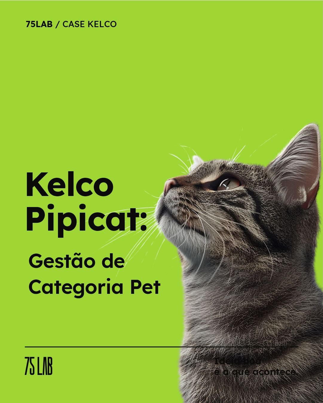 Gestão de Categoria é a arte de facilitar a escolha do cliente. Veja como ajudamos a Kelco a dominar o corredor pet.