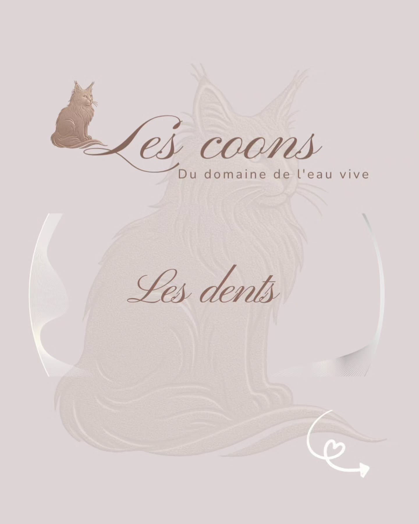 La santé dentaire du Maine Coon est essentielle 🦷
Un détartrage 1x par année est recommandé, avec des compléments adaptés au quotidien.
👉 Découvre aussi les produits proposés par @o_poil_naturel et profite d’une réduction de 10% en m’envoyant ta demande en DM
✅️ avec le code promo MAINE26
Avec passion 🤍😻
Carine Zimmermann
Éleveuse de Maine Coons
Affiliée au Cat Club Romand
Domaine de l’eau vive
1724 Bonnefontaine
+41 79 281 93 88
#dentchat #mainecoon #santeanimale #chatheureux