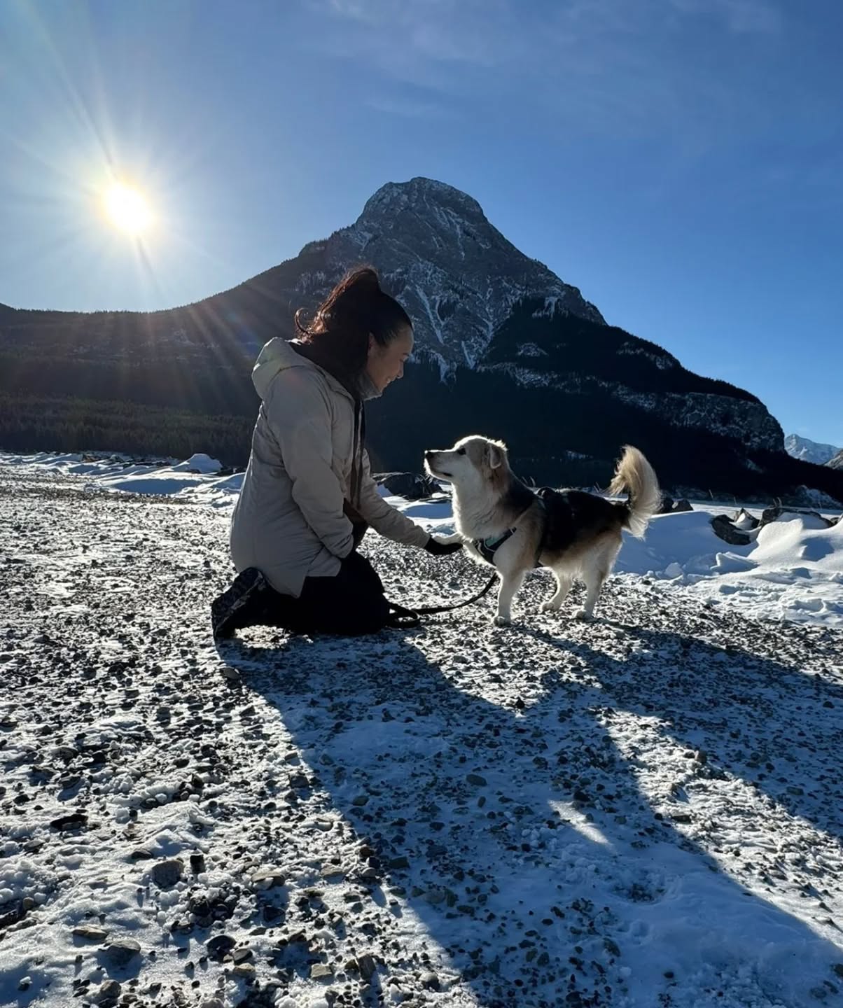 Hi Furriends!
I will be on holiday until the end of March ☺️ All messages and inquiries will receive a reply upon my return!
Looking forward to resuming walks and training in Spring weather 💕 I'll miss all my furry babies!