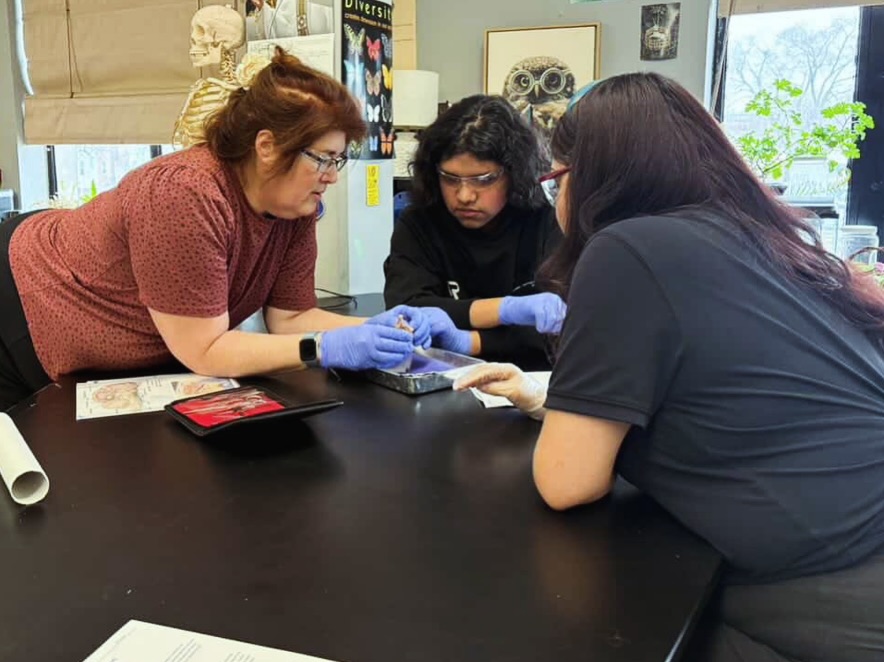 👀 Just dissecting some 🧠…