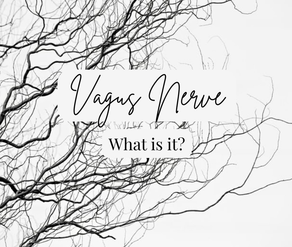 Did you know your body has a built-in calm button… and it’s called the vagus nerve!
The vagus nerve is the longest cranial nerve in the body. It runs from your brainstem down through your neck into your heart, lungs, and digestive organs. It’s the main communication highway between your brain and your gut.
Why does that matter?
Because the vagus nerve controls your parasympathetic nervous system- your rest, digest, and healing state.
When your vagus nerve is functioning well:
• Digestion improves
• Inflammation lowers
• Heart rate stabilizes
• Blood sugar regulation improves
• Stress resilience increases
• Hormones communicate more effectively
When it’s underactive (often from chronic stress), you may see:
• Bloating and sluggish digestion
• Anxiety or feeling “wired but tired”
• Poor sleep
• High stress reactivity
• Blood sugar swings
But you can stimulate it naturally!
Simple ways to activate your vagus nerve each and everyday:
✨ Slow, deep diaphragmatic breathing (long exhales)
✨ Humming or singing
✨ Gargling
✨ Cold exposure (like finishing your shower cold)
✨ Gentle movement like walking or mobility movements
💡But when life’s stressors become persistant or our nervous system stays stuck- this is one of my favorite biohacks. Truvaga vagus nerve stimulater. Think of it as a vagus nerve workout and so many have seen drastic improvements in their health within their first week with just using it 4 minutes a day! Code- wellbalanced350, wellbalancedplus
Regulating your nervous system isn’t a luxury — it’s foundational to healing. Your body can’t heal and repair in fight-or-flight. If you’re working on gut health, hormones, or blood sugar… vagal tone matters more than most people realize!