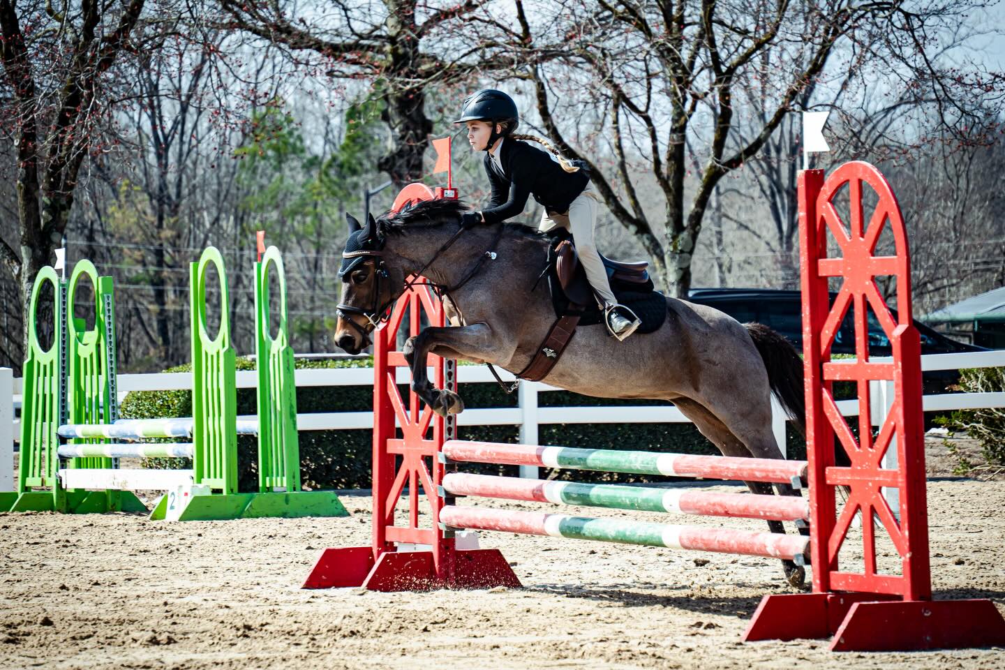 SERIES OPENER at @horseshowventures! All proofs from Horse Show Ventures 2026 GIHP SHOW have been uploaded for purchase! ⭐️
— You can view photo proofs under the photo proofs tab on my website. Thank you for a great weekend! Please contact me if you have any questions. ☺️ https://www.maneframestudio.com/photo-proofs
© Mane Frame Studio || Rhiannon Williams
Please do not screenshot. Thank you!
— at Georgia International Horse Park