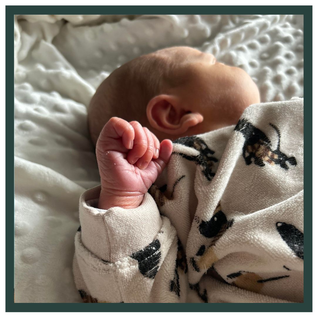 WELKOM BLAINE! 💙
Dit mooie mannetje heet Blaine! Geboren op 22-02-2026 om 05:32u bij 39 weken en 2 dagen, met een gewicht van 3660 gram. 😍
We kennen Alessio en Mairi nog van de zwangerschap van hun zoontje Logan in 2024. Zo leuk om ze nu weer terug te zien! Deze zwangerschap was pittig voor Mairi door klachten aan haar rug, bekken en vermoeidheid. Gelukkig besloot Blaine al op tijd te komen!
In de avond braken spontaan de vliezen. 💦 Dit was een mooie verrassing, zo voor de 40 weken! Alessio en Mairi probeerden nog even te slapen maar werden al snel wakker van de weeën. Deze waren meteen intens aanwezig. Bij het eerste huisbezoek had Mairi al 5 centimeter ontsluiting. Wat ging dit goed! 😍 Mairi wilde graag een ruggenprik, waardoor we besloten om snel naar het ziekenhuis te gaan. We bespraken al even dat de ontsluiting waarschijnlijk te snel ging voor pijnstilling, maar Mairi wilde het toch proberen. Celeste liet de kraamverzorgster al wel voor de zekerheid ook naar het ziekenhuis komen. En dat was maar goed ook... In het ziekenhuis ging het snel! De weeën volgden elkaar vlot op en een half uur na aankomst werd kleine Blaine al geboren! 💙 Zonder pijnstilling, wat een kracht heeft deze mama! 💪🏼 We zien vaak dat vrouwen bij zo'n snelle bevalling zowel lichamelijk als mentaal worden overvallen door de snelheid. Gelukkig was Alessio een goede steun voor Mairi! Samen konden ze rustig bijkomen en genieten. 🥰
Lieve Alessio, Mairi en Logan, gefeliciteerd met de geboorte van Blaine! Jullie zijn een goed team samen en mogen heel trots zijn! Veel geluk! Geniet van jullie mooie gezinnetje. 🥰 Veel liefs, team LEV. ❤️
#babyboy #bevalling #verloskundige #LEV #liefdevol #vertrouwd #grotebroer #geboorte #trots