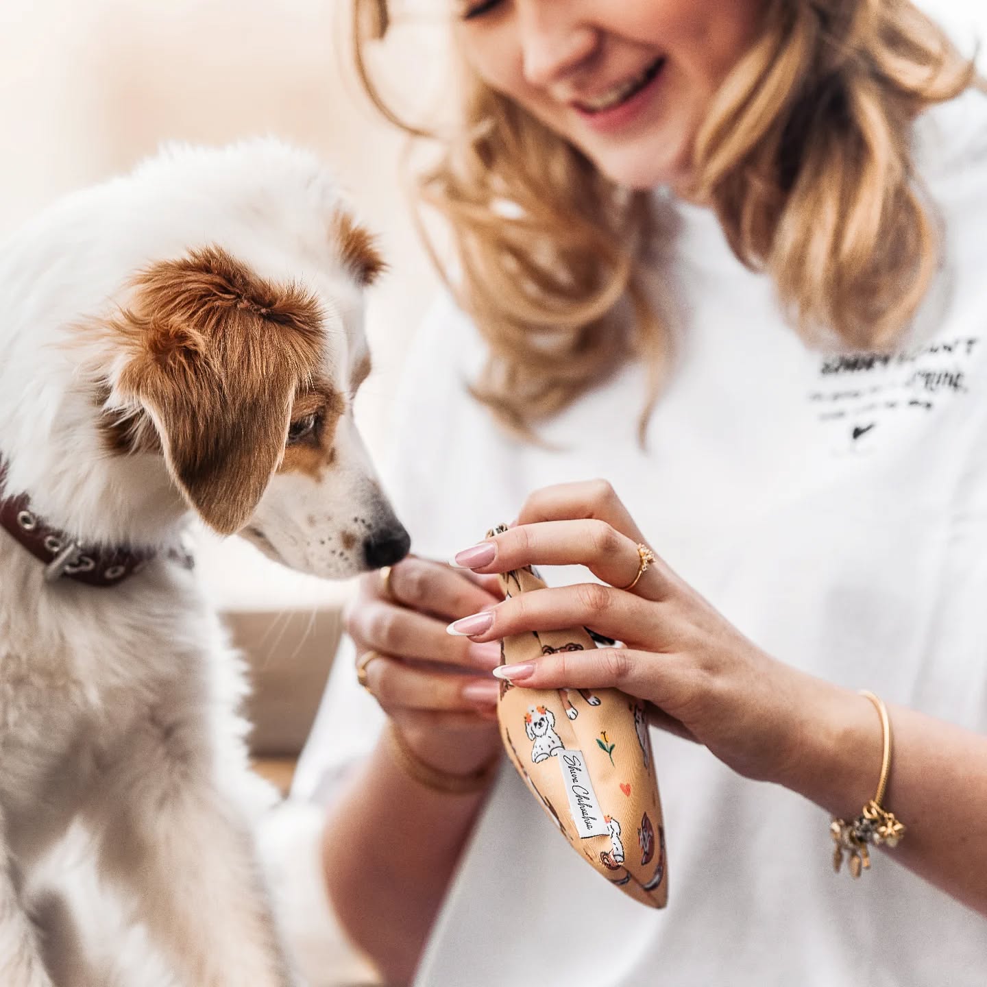 Die Flower Dogs Kollektion ist ab sofort sowohl online als auch vor Ort im Laden verfügbar 🐕💐
#flowerdogs #frühlingskollektion #hundezubehör #hundeladen #hundegeschäft