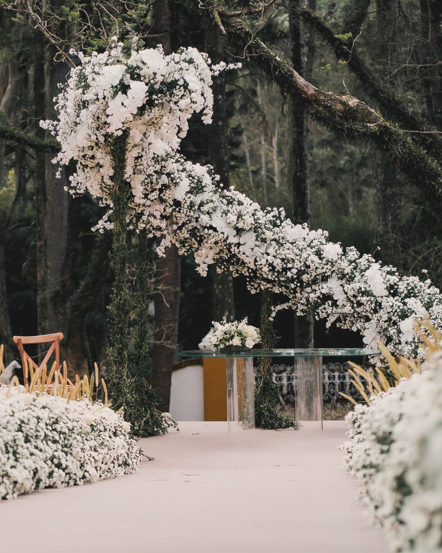 Cerimônia | Fazenda Santa Bárbara 🤍
Um altar com estrutura em espiral, envolto por flores brancas e folhagens, criando movimento e imponência para o momento do “sim”. No caminho, jardineiras floridas ganharam os detalhes em capim bege um toque especial idealizado pela noiva trazendo textura e um charme campestre sutil.
Romântica, leve e em perfeita harmonia com o cenário único da fazenda.
Bruna & Junior
@bruzillig
@luvalenteeventos
@fazendasantabarbara
@infinitygastronomia
@db2pro
@casafestalocacoes
Fotos @bencarolnoel
#wedding #casamentonafazenda #casamento #fazendasantabarbara
