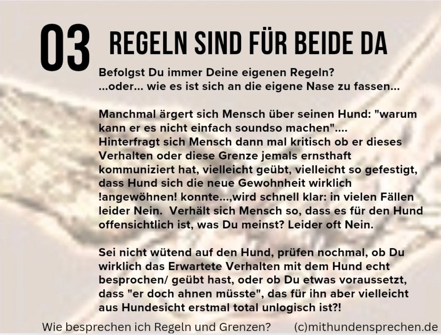 #mithundensprechen #mithundenleben #hundesprache #hundetraining #dogsofinstagram