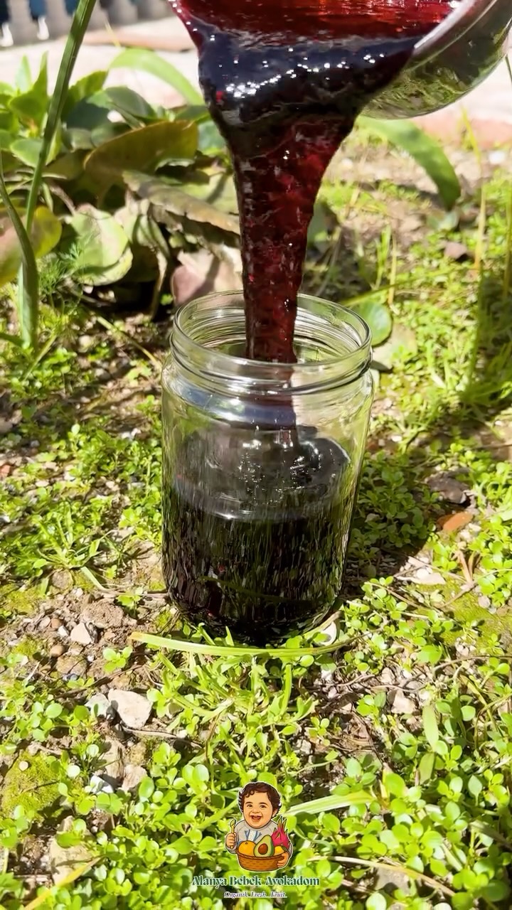 Bugün kavanozlara güneş doldurduk ☀️🍇
Tanecikli karadut özümüzü özenle hazırladık, tek tek kavanozlara kattık.
Rengiyle iştah açan, tadıyla çocukluğa götüren o gerçek lezzet…
Doğallığını koruyarak, sevgiyle 💜
#sağlıklıbeslenme #sağlıklıyaşam #organik #kesfetteyiz #tatlı