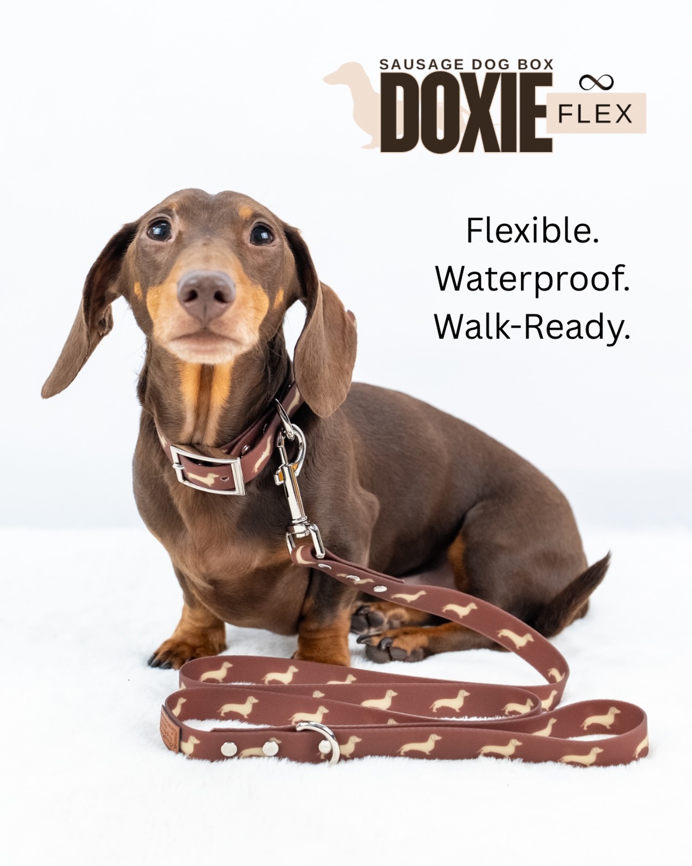 If you’ve visited us at @crufts you may have spotted these… and maybe even taken one home already 👀
Our new DoxieFlex biothane collars & leads have been very popular at the show! 🤎
Right now they’re exclusive to Crufts, but once we’re back we’ll be adding a limited number to the website.
If you’d like to grab one when they go live, comment below and we’ll make sure you know when they’re available.
We also have a matching safety clip available too for extra peace of mind on walks 🐾
#sausagedogs #crufts #biothanecollar #matching #dachsundsofinstagram