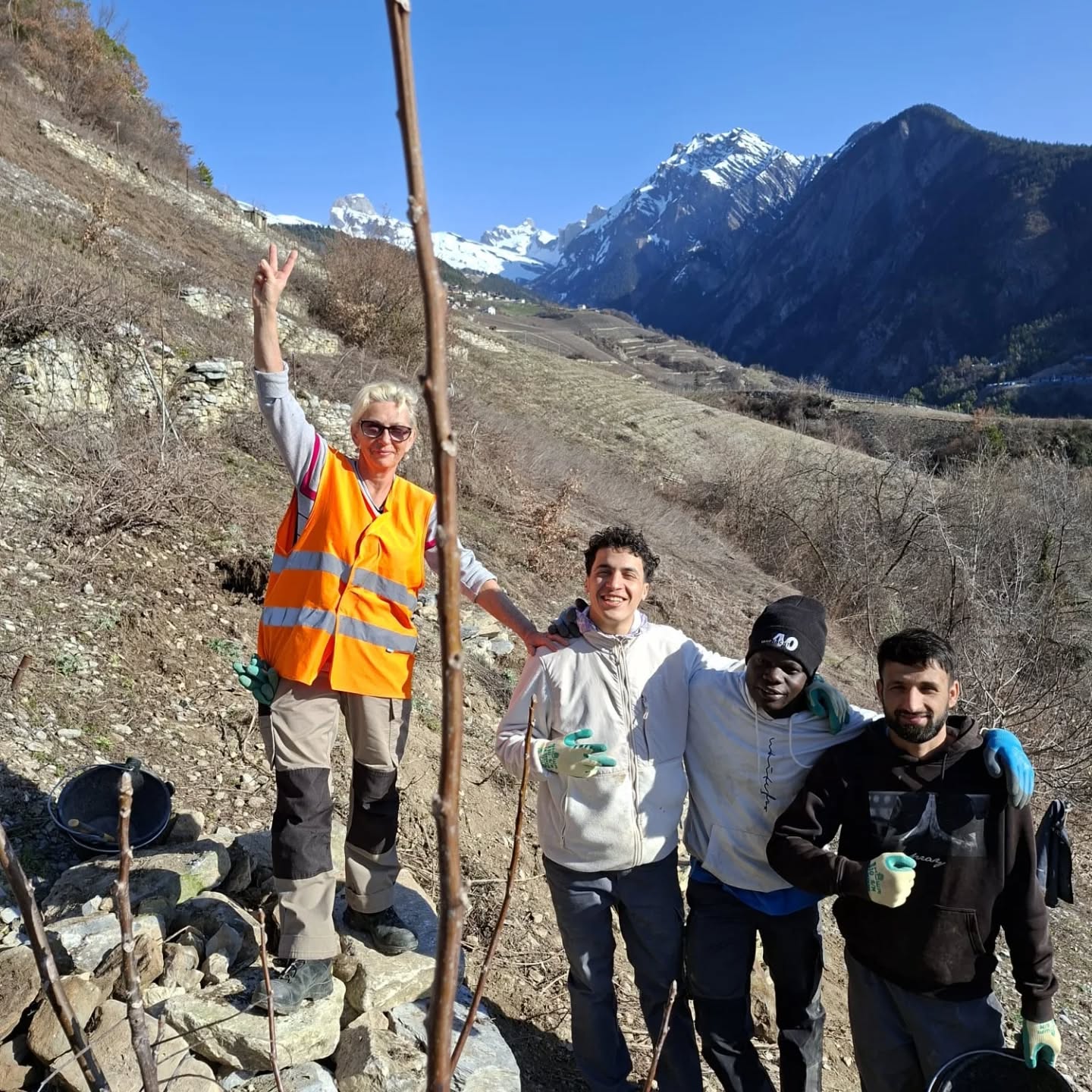Revitalisation du domaine de Pro Nova Vallis à Conthey : une semaine d’actions concrètes
Durant toute cette semaine, la SWO (Stiftung Wirtschaft & Ökologie), mandatée par le Service des forêts, de la nature et du paysage (SFNP), est intervenue sur le domaine de la Fondation Pro Nova Vallis, plus précisément aux lieux-dits des Ombrins, du Palu de Tourvielle, de Plainpalet et du Pont du Foulon.
En cinq jours d’efforts intensifs, les équipes de la SWO ont réalisé un travail remarquable :
Biodiversité : Construction d’une vingtaine de murgiers (tas de pierres) pour favoriser la microfaune.
Lutte contre les espèces invasives : Arrachage manuel de milliers de vergerettes annuelles (originaire d'Amérique du nord) .
Assainissement : Évacuation de plusieurs centaines de kilos de déchets métalliques et plastiques.
Aménagements naturels : L’élagage de certains arbres a permis de créer des tas de branchages, offrant un refuge idéal aux hérissons, reptiles, amphibiens et insectes.
La Fondation Pro Nova Vallis adresse un grand merci à l'ensemble de l'équipe SWO ainsi qu'au SFNP pour son précieux soutien dans plusieurs de nos projets de revitalisation.
Didier Frossard et Martin Klossner
www.pronovavallis.ch
SWO : http://www.stiftungswo.ch/
SFNP : https://www.vs.ch/web/sfnp
