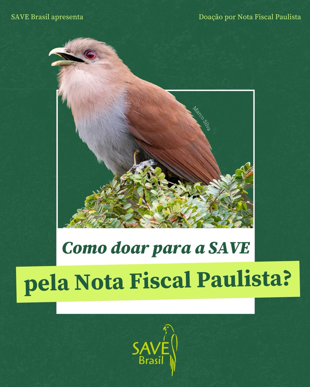 Doe para a SAVE Brasil na Nota Fiscal Paulista!
A Nota Fiscal Paulista (NFP) é uma iniciativa do Estado de SP para incentivar os consumidores a exigirem o documento fiscal a cada compra. O que muita gente ainda não sabe é que, ao colocar o seu CPF na nota, você pode contribuir para a conservação das aves no Brasil! Doe para SAVE e faça acontecer! 🥰
Se você mora no estado de São Paulo e quer ajudar a ampliar as ações da SAVE Brasil, siga esses passos:
✅ Acesse o site www.nfp.gov.br;
✅ Faça o seu login.
✅ Configure a doação automática, escolhendo a SAVE Brasil como sua instituição de preferência e definindo o tempo da sua contribuição.
Agora, é só pedir para colocar o seu CPF na nota durante as compras e a doação será automaticamente destinada à SAVE!
Além de ajudar a SAVE Brasil, você também concorre a prêmios por meio de sorteios mensais🤩
Arraste para o lado, veja um tutorial de como doar com as suas notas fiscais e comece hoje! 🧾
Foto: Marco Silva (@marco.birding.jpg)
#apoie #savebrasil #doe