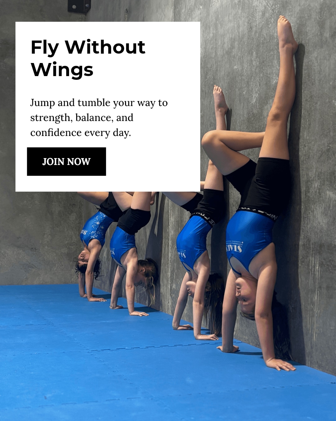 Ever tried flying without wings? Acrobatics is the answer!
Jump, tumble, and laugh your way to better fitness—no matter your age. It's fun, full-body movement that builds strength, balance, and confidence.
Ready to flip your fitness routine on its head? Join us and feel the joy of acrobatics today!