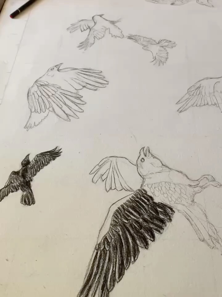 I have a fun commission! I’ve been slowly working on some charcoal drawings that will be projected as a backdrop to a production of Antigone. It’s been a treat to get messy again.
#corvids #ravens #charcoaldrawing #worksonpaper #australianartist