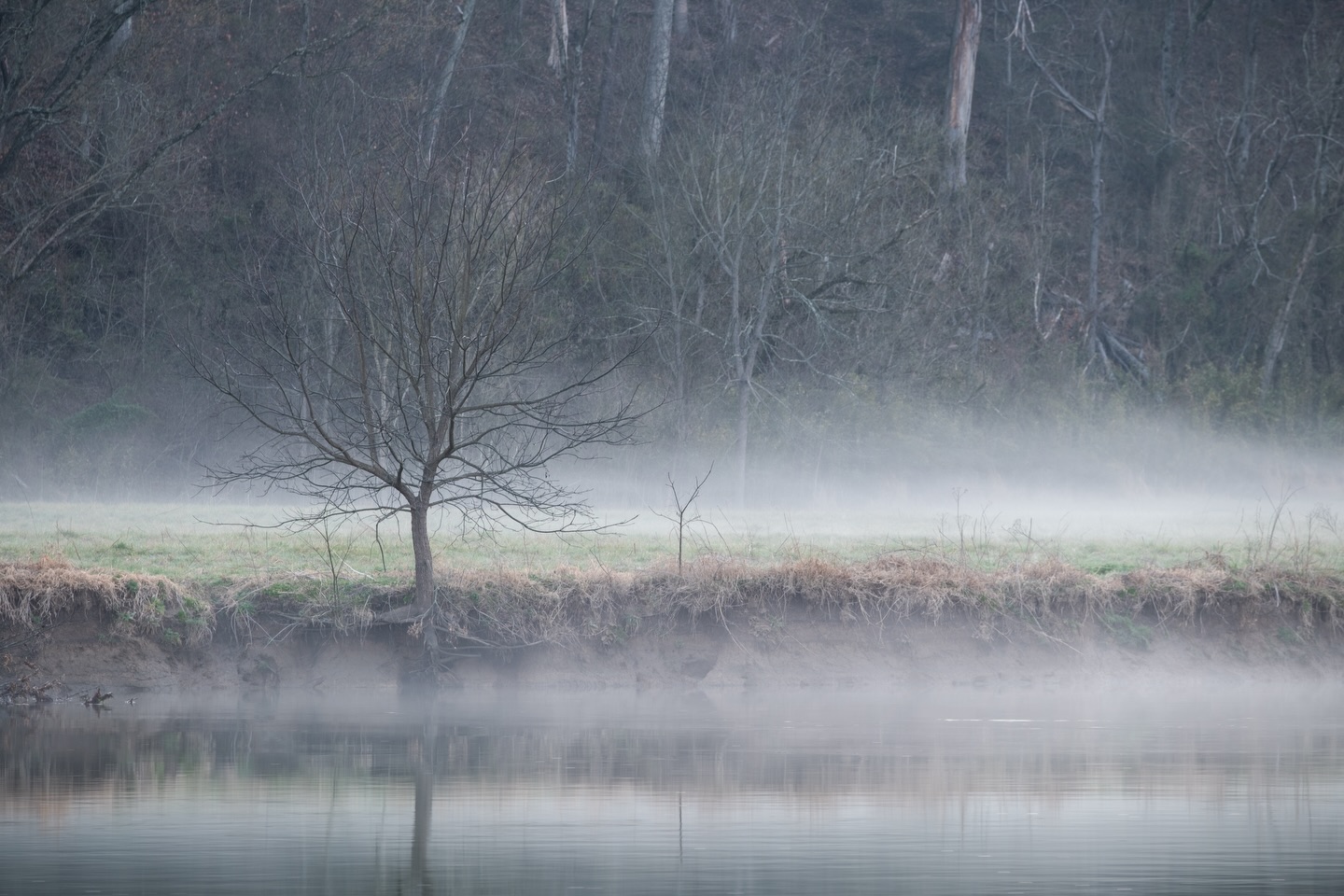 Foggy morning on the Holston River in Church Hill, TN.
Camera: FujiFilm XT-5
Lens: FujiFilm 50-150 f2.8
Tripod: 3 Legged Thing
No filter
#fujifilmx_us #photography #landscapesphotography #tennessee #mood