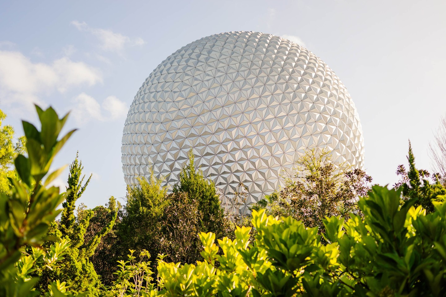 Hello March, Goodbye February.
What a month.
Bridge Expo kicked things off and I met so many incredible 2026 and 2027 couples. Truly the best way to start a season. Then came a full rebrand of Being Joy Photography and I am in love. The colors, the direction, the heart behind it. It finally feels exactly like me. Go peek at the new website if you haven’t yet.
Valentine’s Day was pizza, pajamas, and The Super Mario Bros. Movie with my boys. Simple and perfect.
I celebrated another trip around the sun and then headed to Disney for the Princess Half and 10K. Training did not go as planned and it was a tough one, but I showed up and finished. Thirteen years since my first Princess Half and still learning to give myself grace.
Full month. Full heart.