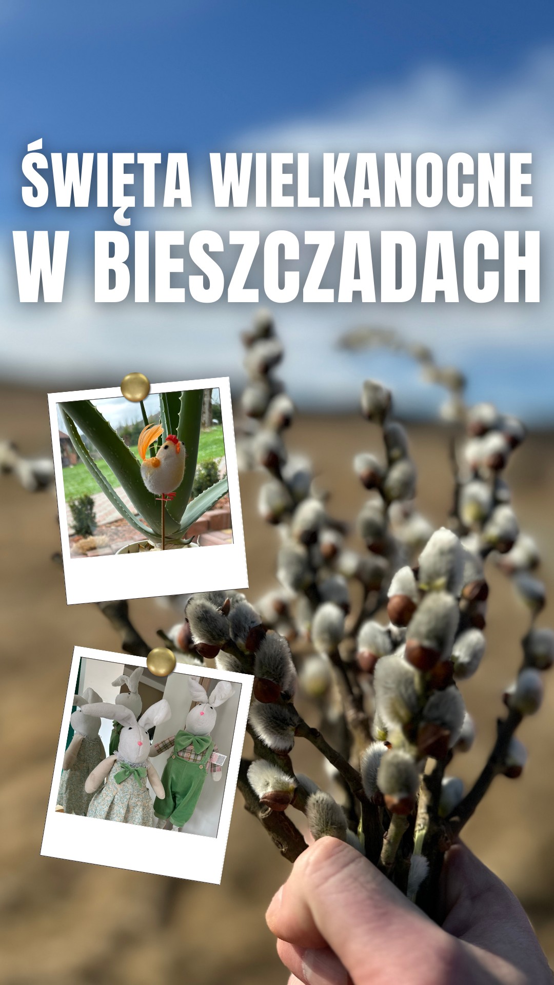 Zamień świąteczny pośpiech na bieszczadzką ciszę i smak prawdziwej tradycji. 🐣🌿
Czekają na Was domowe koszyki, nasza słynna deska obfitości i święta, w których jedynym zadaniem jest wspólny odpoczynek. 🧖✨🧑🧑🧒🧒
#bieszczady #wielkanoc #wiosna #góry #odpoczynek