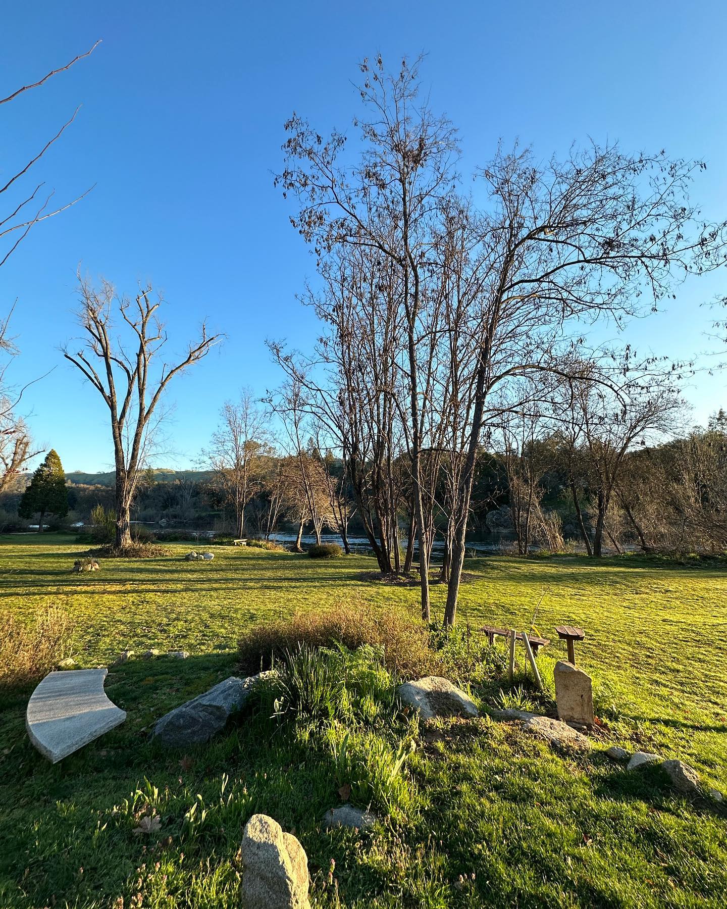 Starting to feel the spring vibes! #2024season #camplotus #eldoradocounty #southforkamerican #camping 💦 🌊 🌱