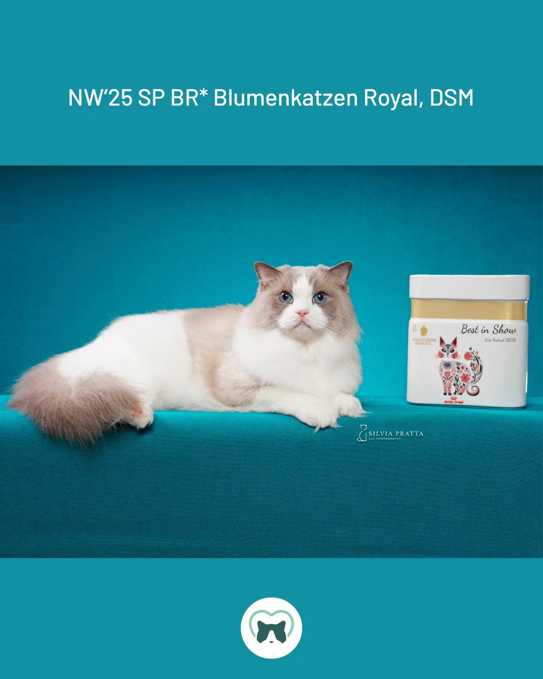 💚 NW’25 SP BR* Blumenkatzen Royal, DSM 💚
3x BIS em Amacoon - Santos/SP