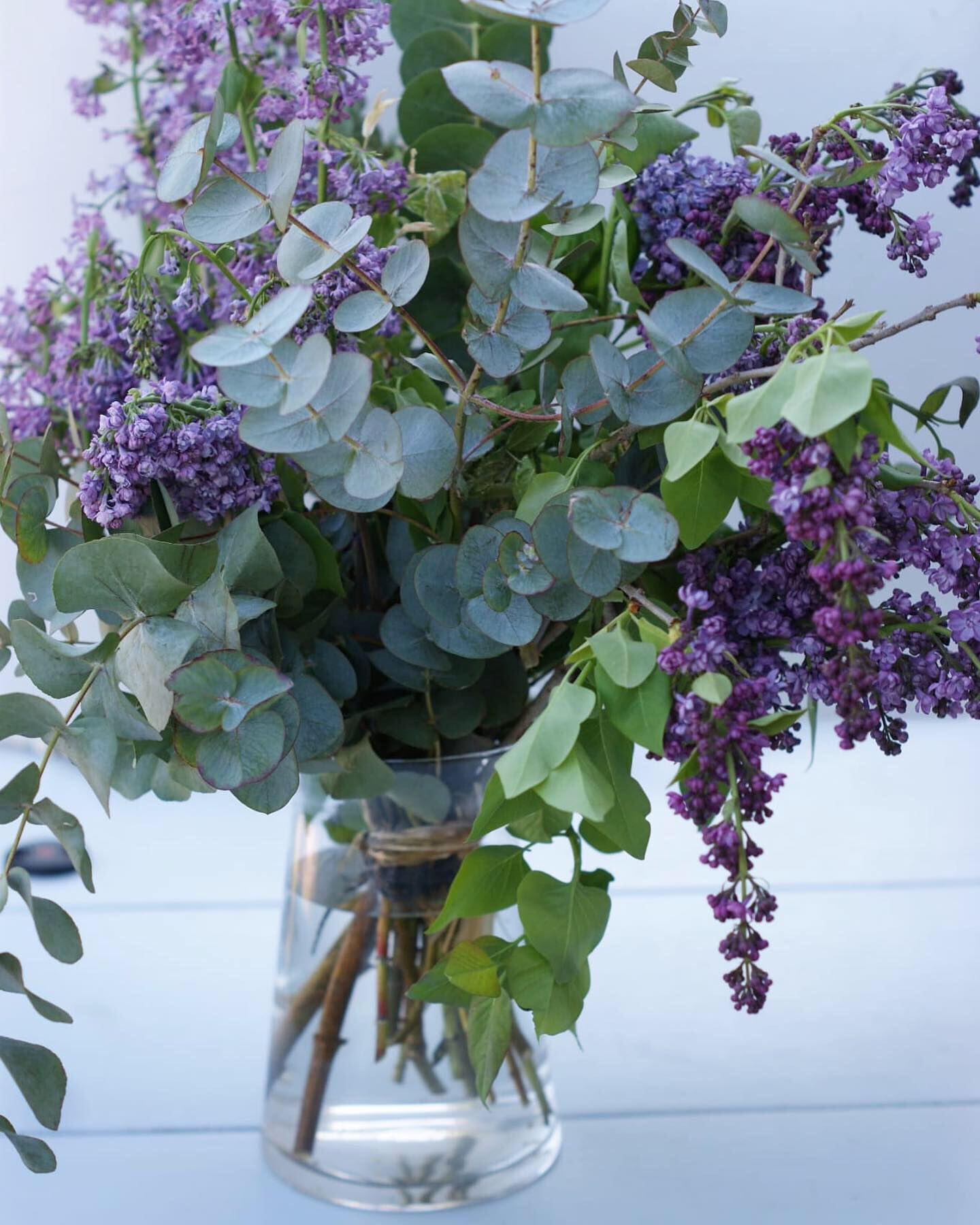 Lilas ya disponibles en la web 💜