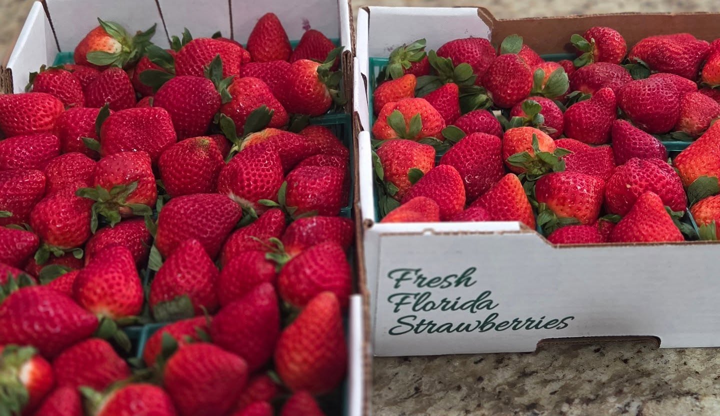 Strawberry Season! 🍓
#chocolatecoveredstrawberries