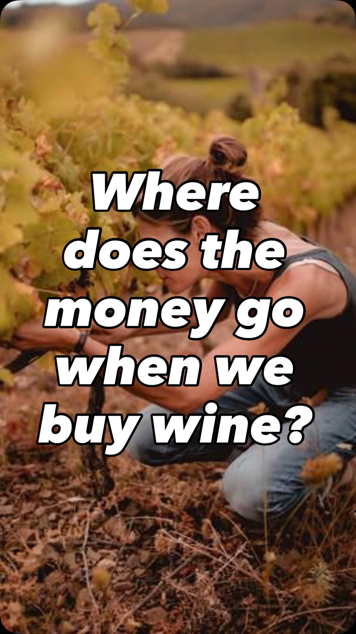 A £35 bottle of wine…but where does it all go?
👇 We break it down in our blog 👇