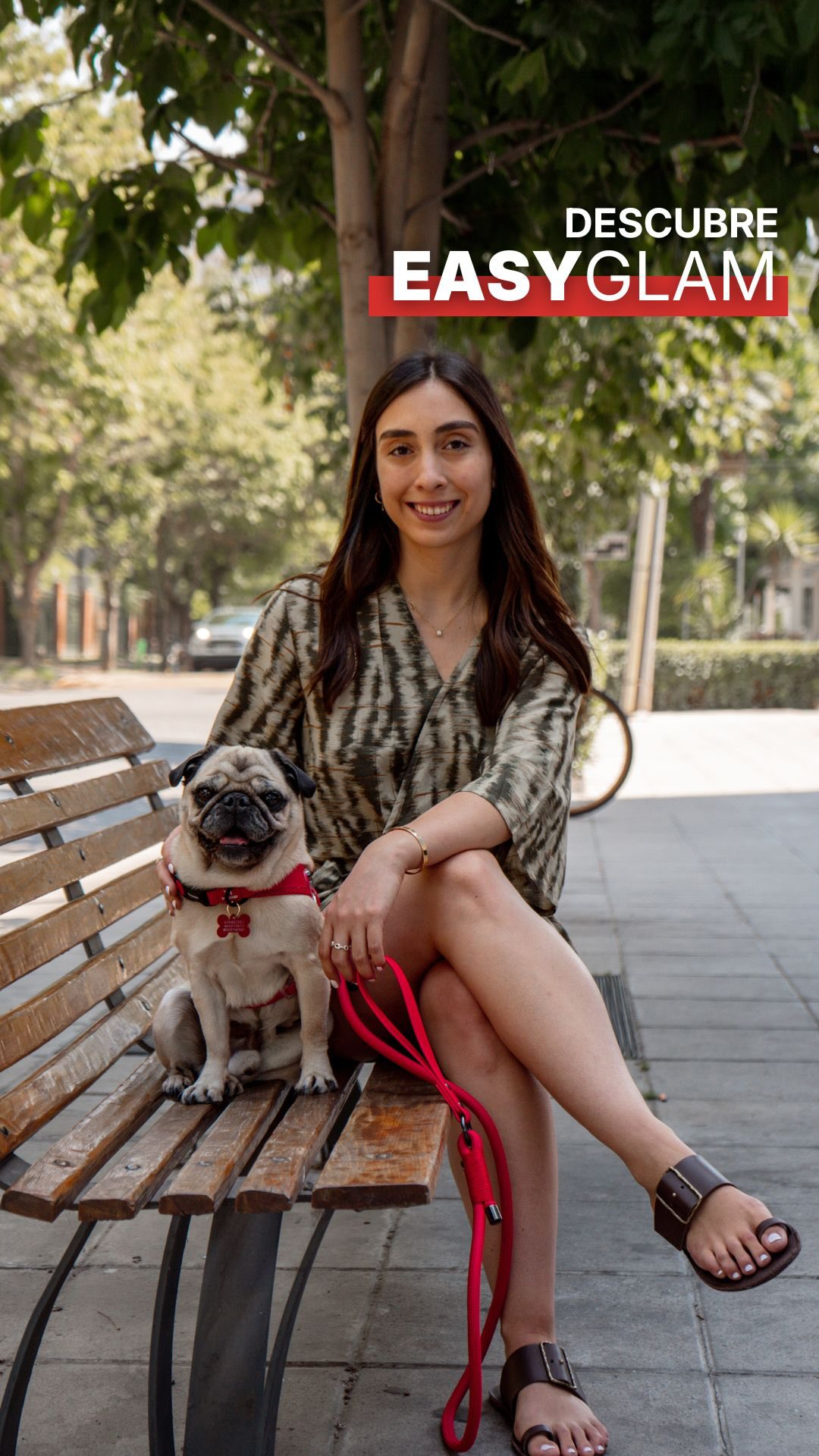 Liviano, simple, increíble 🔥🤩
#EasyGlam #Petlounge #arnesperro #pugchile