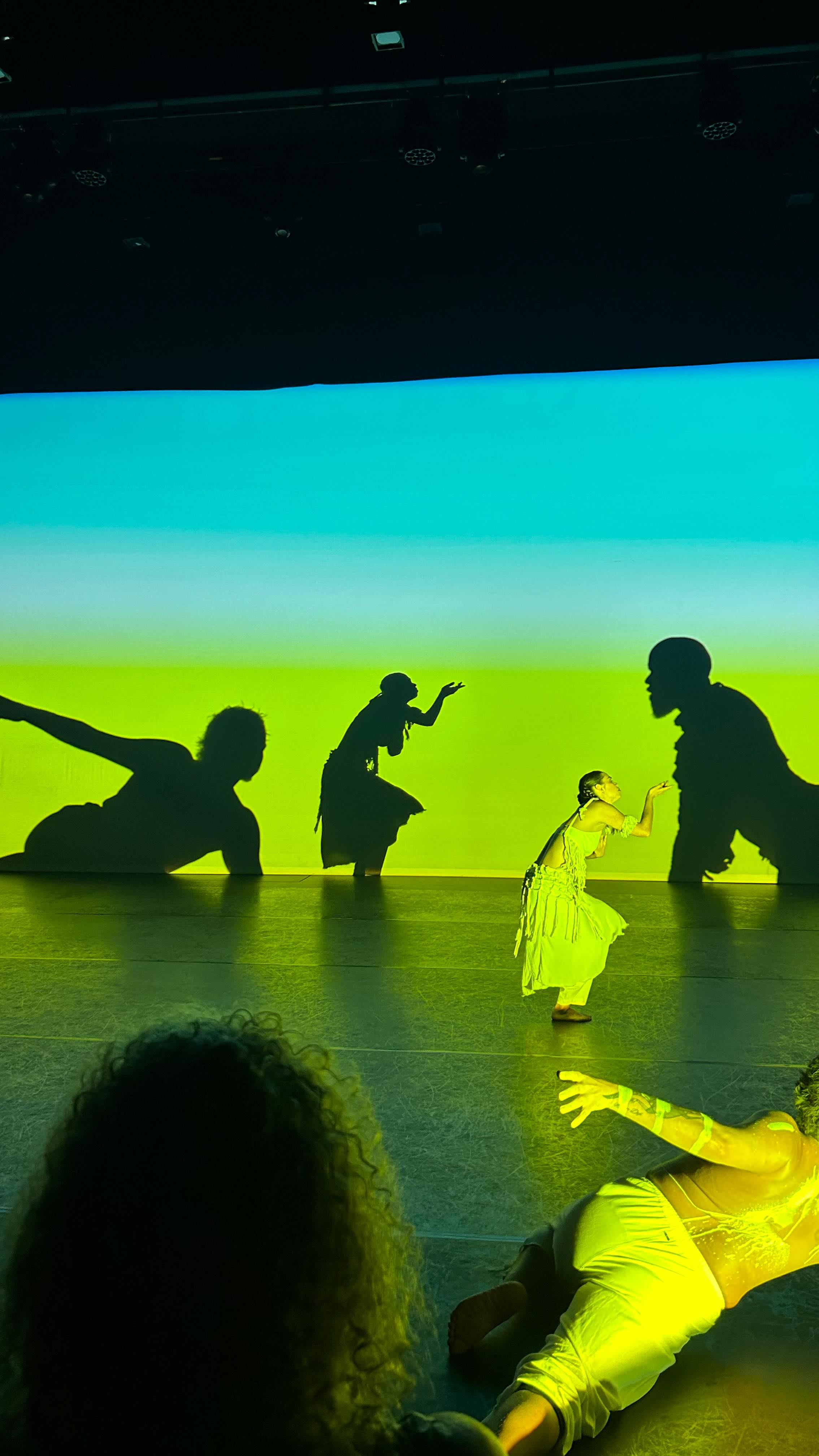 Since arriving in the Top End, I’ve been lucky enough to soak up performances by the Darwin Symphony Orchestra, the Victorian State Ballet and just last week, the uniquely captivating and interactive Garabari by Joel Bray. So good!
As a creative, each of these outings is a little recharge, a reminder of how music, words, dance and art can move so many people in so many ways, and that each of these pieces started from just an idea in a bold person’s imagination. What a treat to be inspired and find friends who are happy to come along too, as I discover this vibrant cultural scene in our new home 🤩 @aantcentredarwin