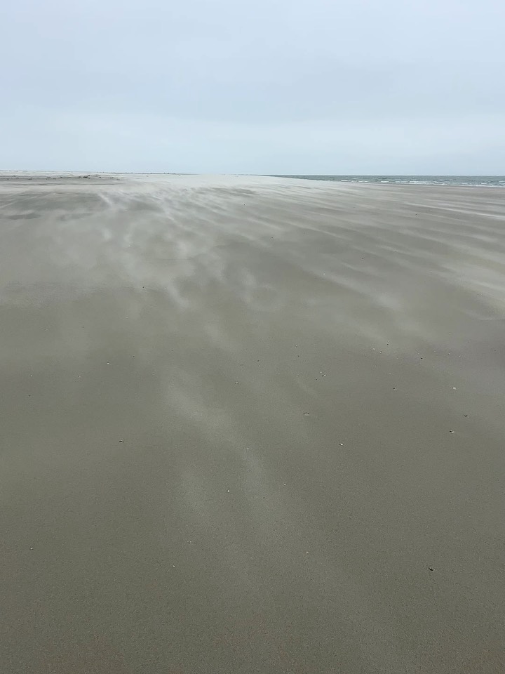 Thank you to everyone who has streamed The Turning. I’m grateful for your support. Link in Bio to listen 👉🏼@julialorettaromero
A few sights that inspired and enthralled me these past few days.
Isle of Palms / Magnolia Cemetery
#originalmusic #newmusic #cinematicmusic #independentartist #moodymusic