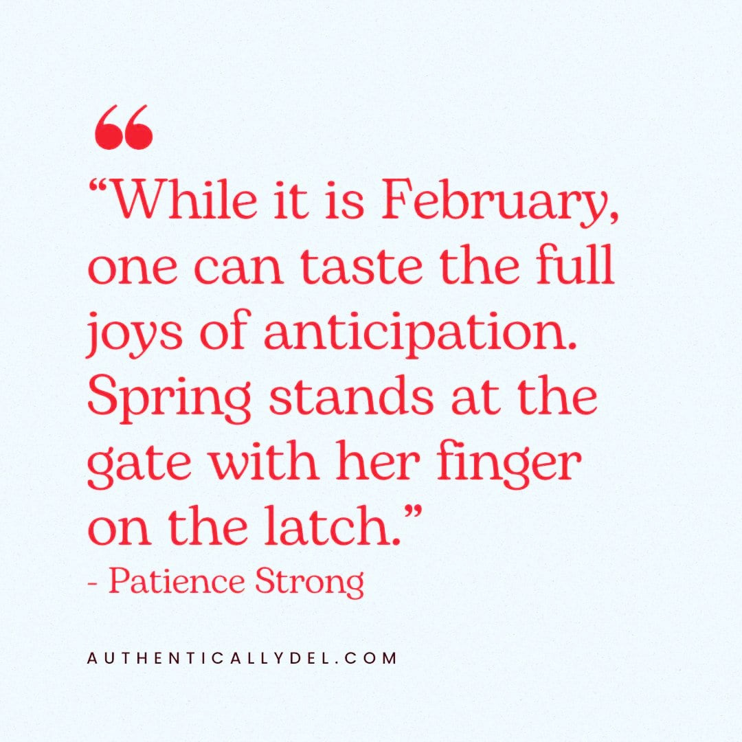 #antipication
#springtime
#Februaryquotes
#writersofinstagram