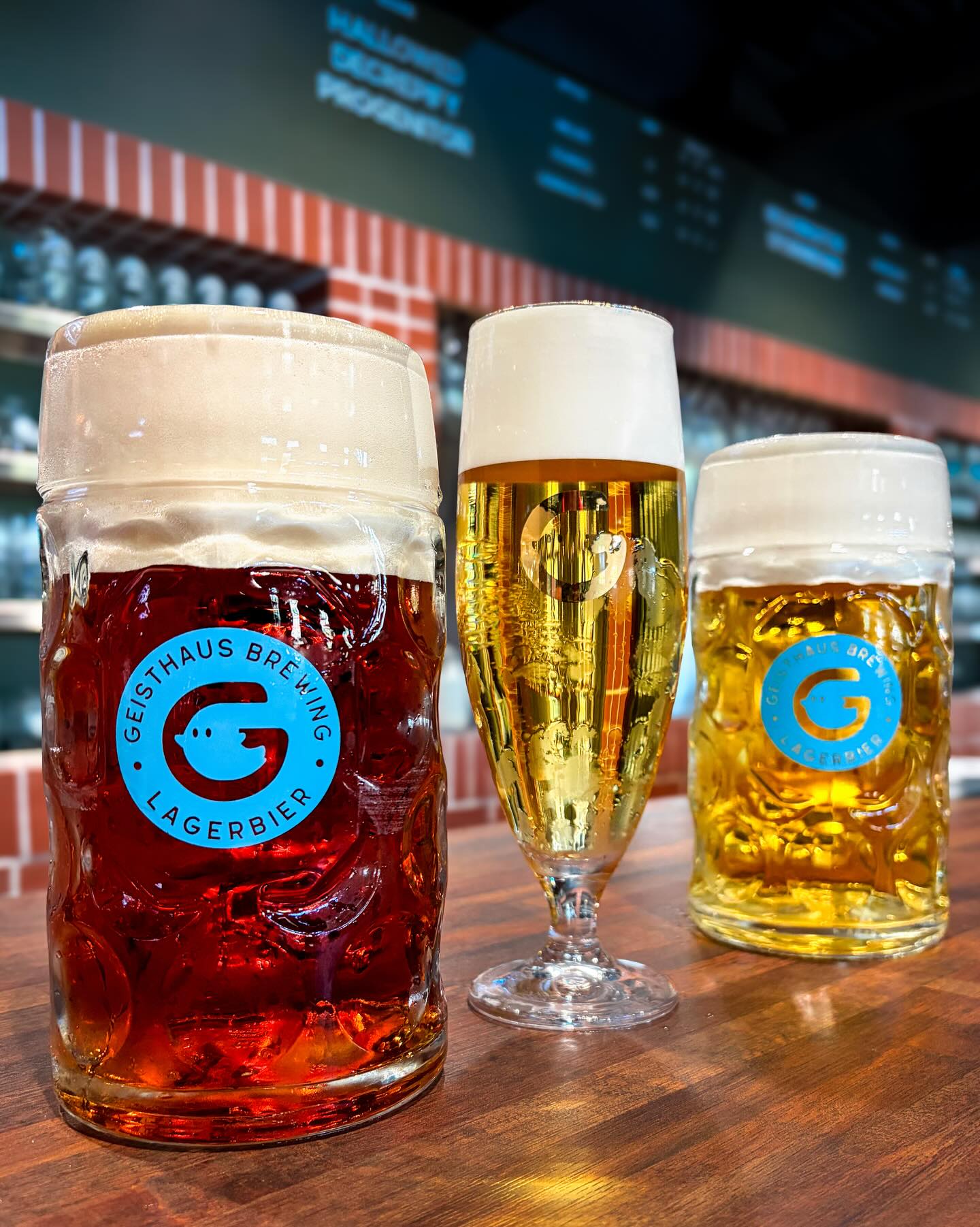 It’s no secret. We make lager, and lager takes time. Sometimes you love it so much that you drink it all before the next batch is ready. This last weekend we were down to slim pickings, including running out of Helles. But today we filtered a fresh batch along with the return of a couple crowd favorites: Progenitor German Pils, and Stormbond Märzen. All 3 are flowing beautifully from our @lukr.cz faucets and 4-packs available tomorrow, with three more freshies next week!
Current Draft List:
Hallowed Helles
Decrepify Dunkel
Stormbond Märzen
Progenitor German Pils
Reanimator Doppelbock
Landbier