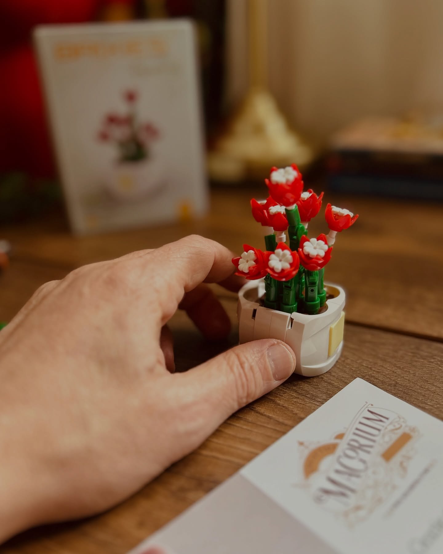 Scopri la nuova linea di mattoncini costruzione Brixies 🌺
Entra nella mia Bottega dei Giocattoli 👉 LINK IN BIO
#magoriumgiocattoli #bricks #brickstagram #toys #giocattoli